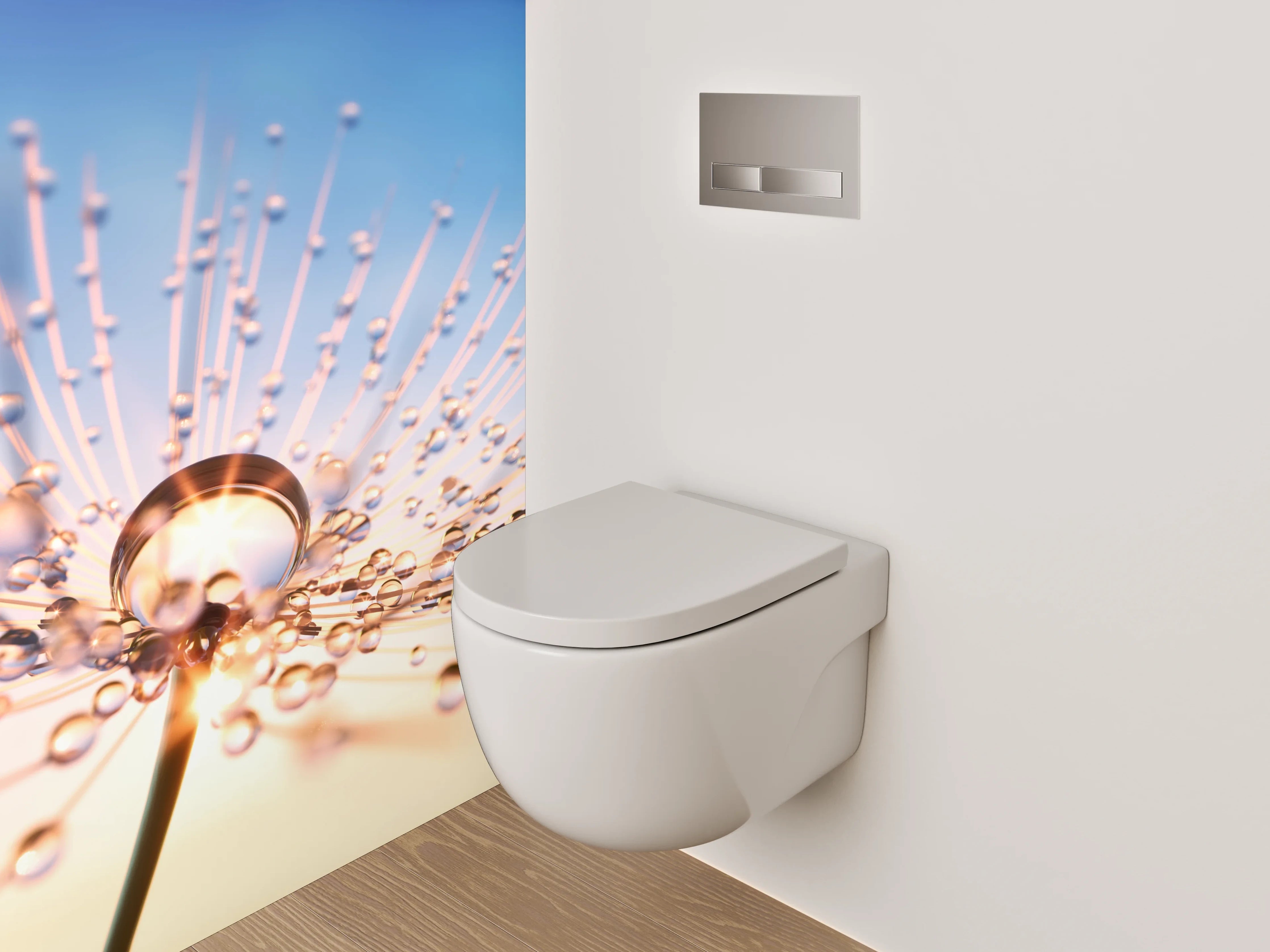 WC-Rückwand - Makroaufnahme Pusteblume Sonnenuntergang