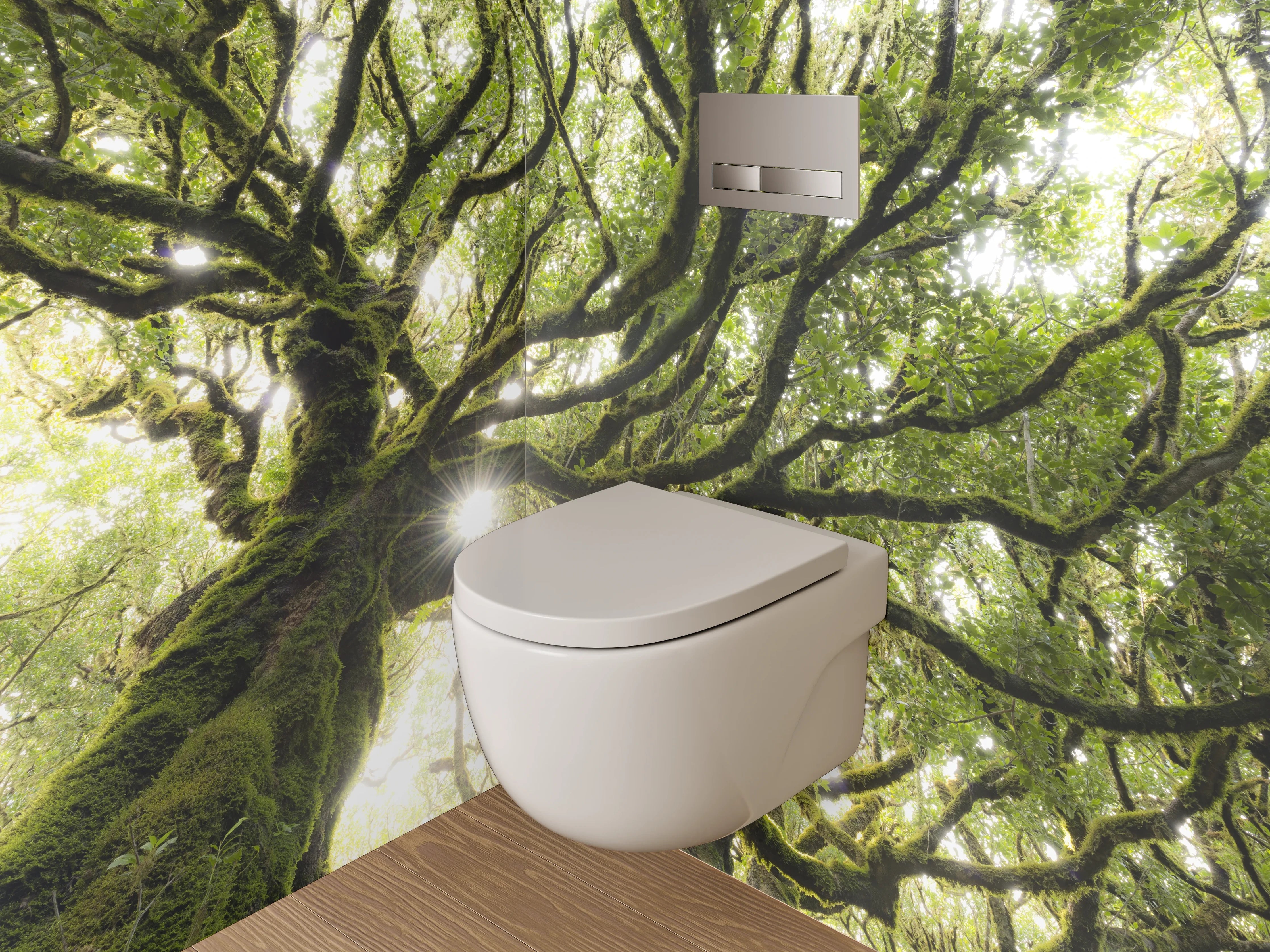 WC-Rückwand - Mystischer Baum im Sonnenlicht
