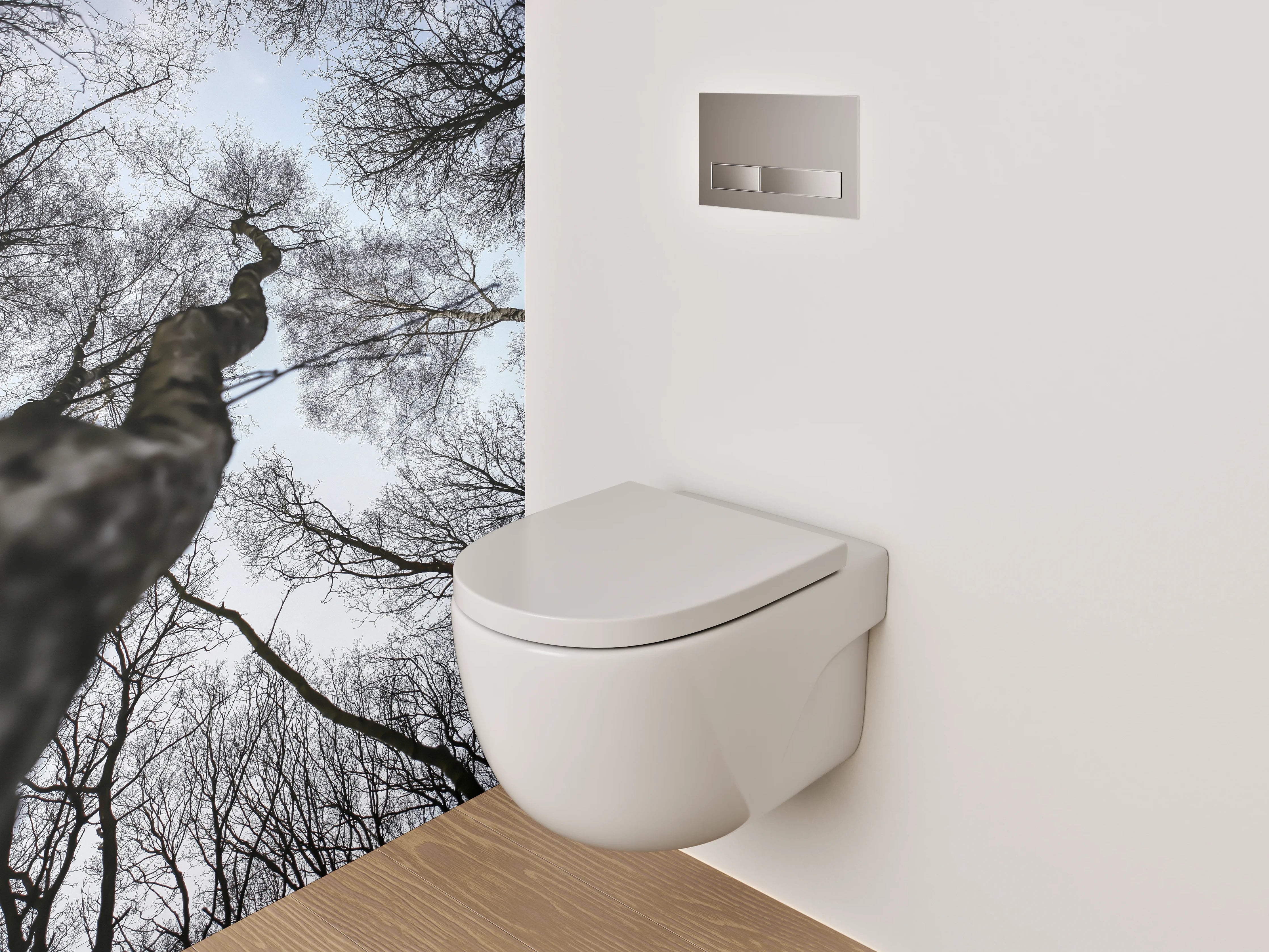 WC-Rückwand - Mystischer Blick in kahle Baumwipfel
