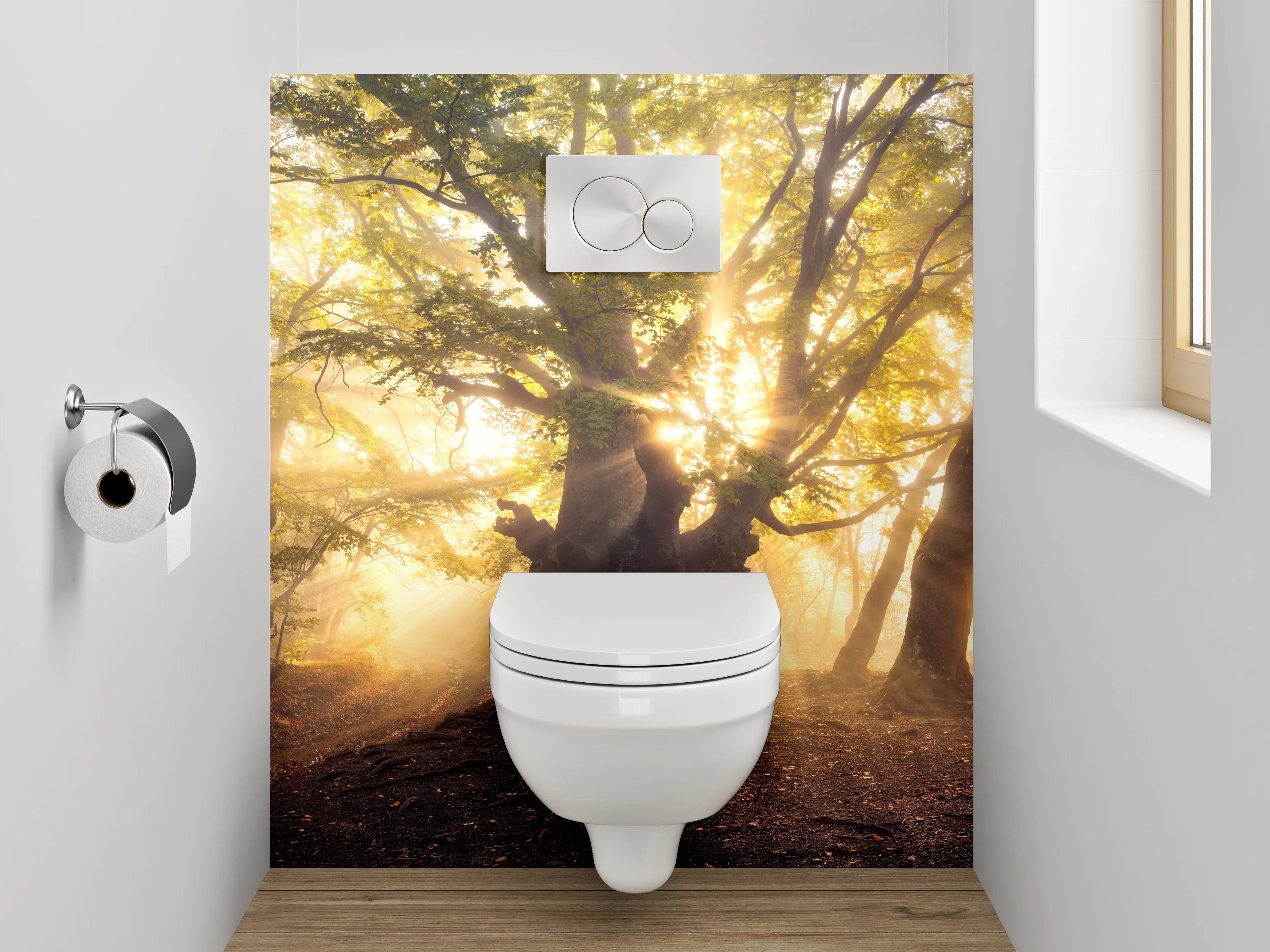 WC-Rückwand - Mystischer Sonnenwald – Morgenlicht