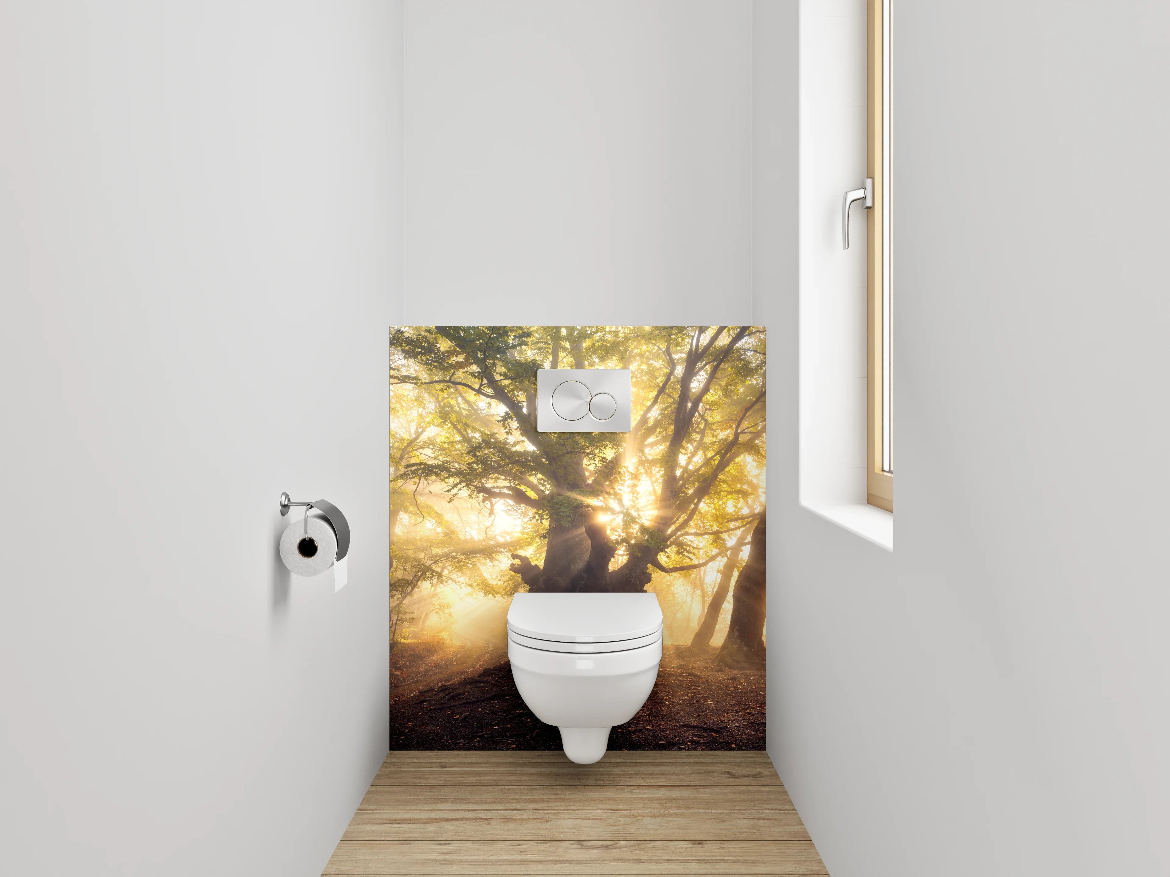 WC-Rückwand - Mystischer Sonnenwald – Morgenlicht