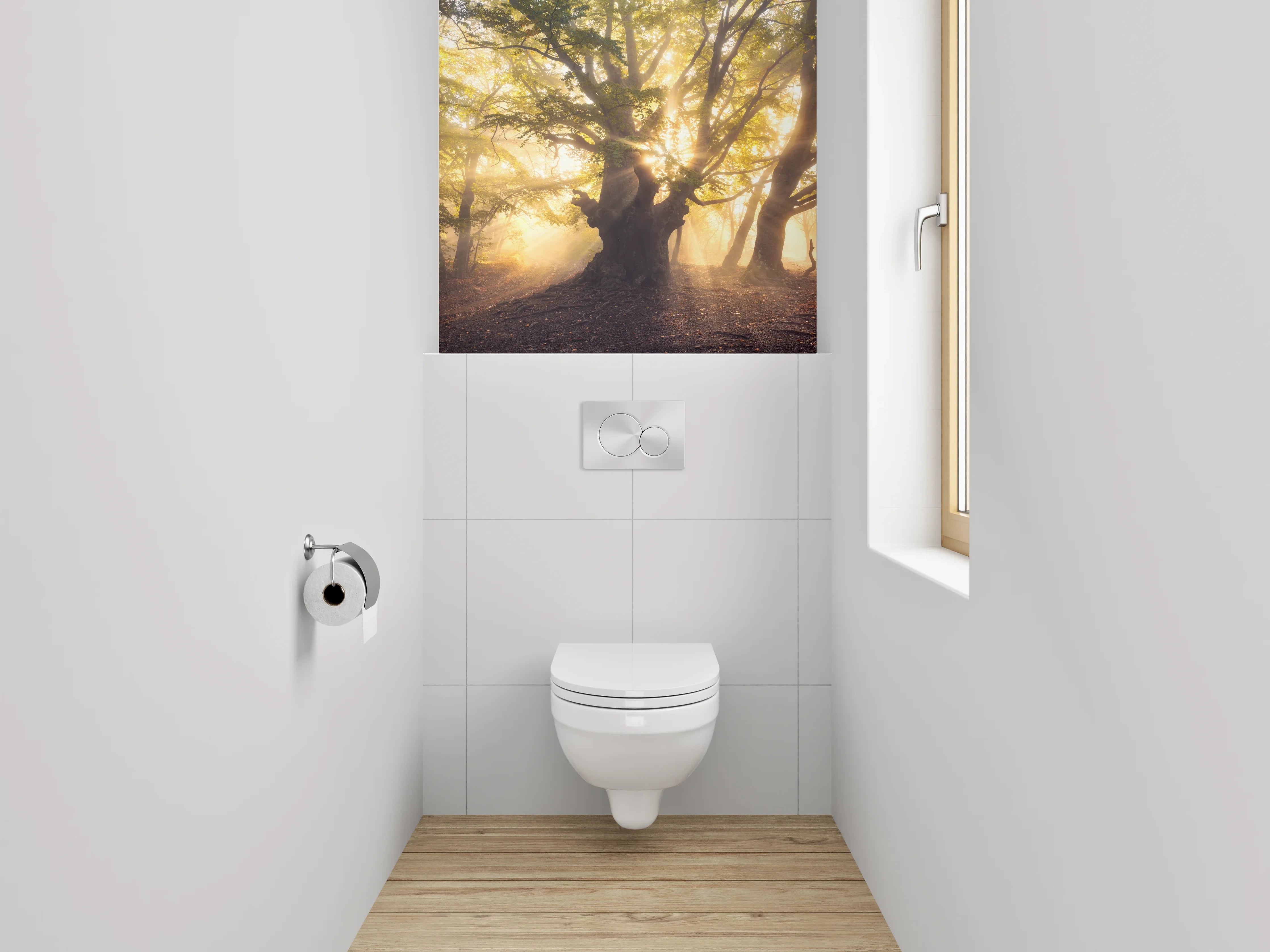 WC-Rückwand - Mystischer Sonnenwald – Morgenlicht