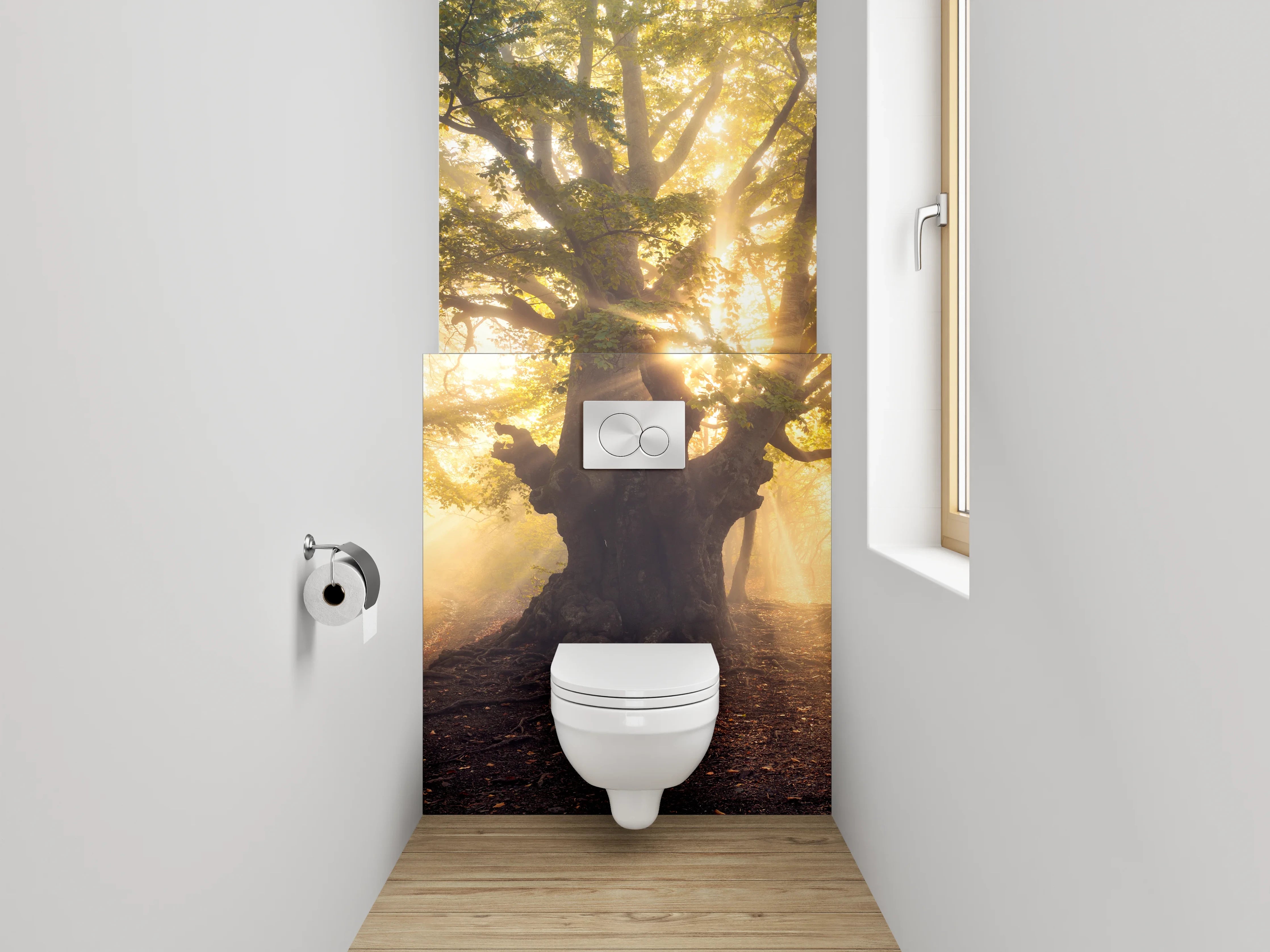 WC-Rückwand - Mystischer Sonnenwald – Morgenlicht