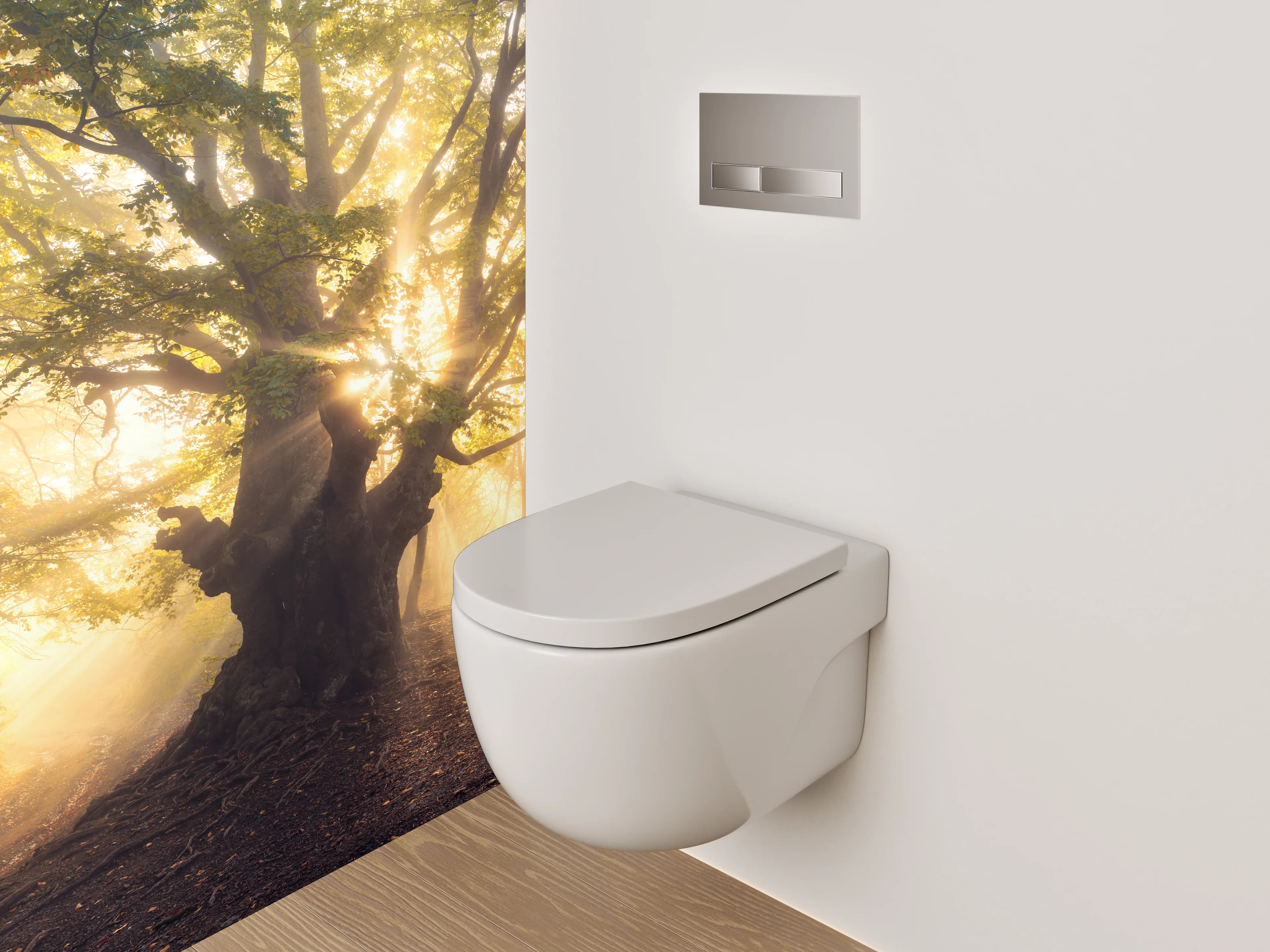 WC-Rückwand - Mystischer Sonnenwald – Morgenlicht