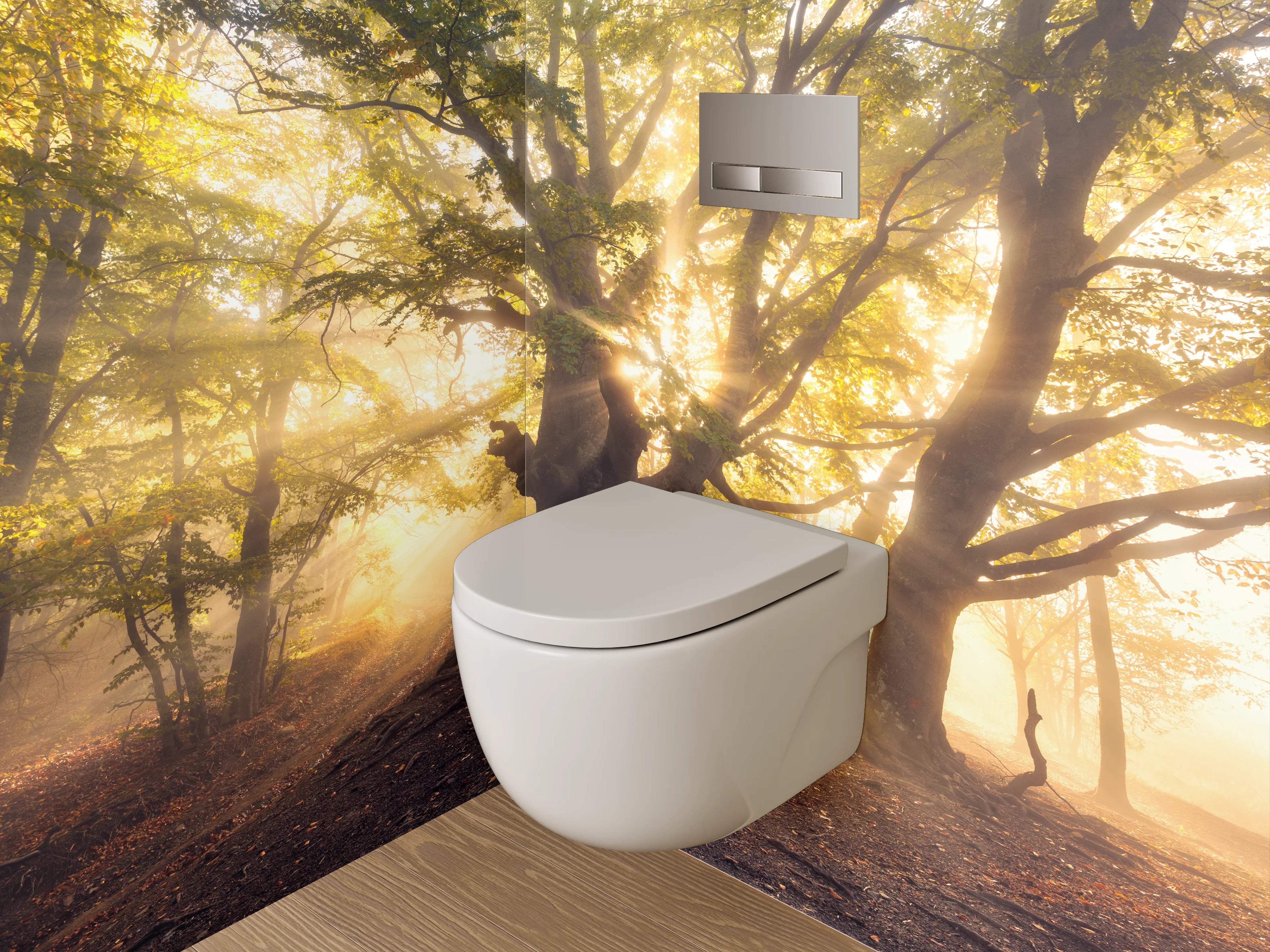 WC-Rückwand - Mystischer Sonnenwald – Morgenlicht