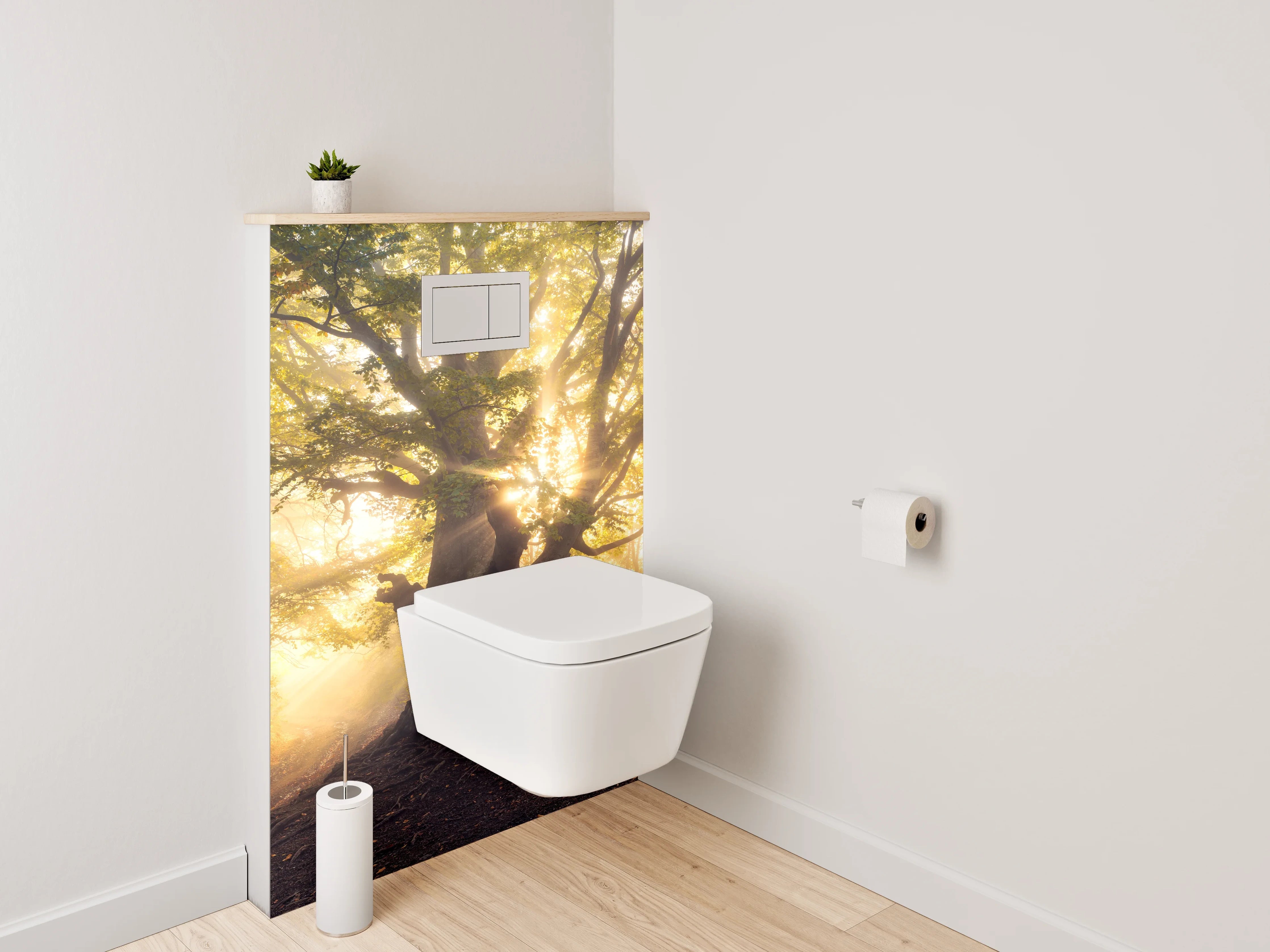 WC-Rückwand - Mystischer Sonnenwald – Morgenlicht