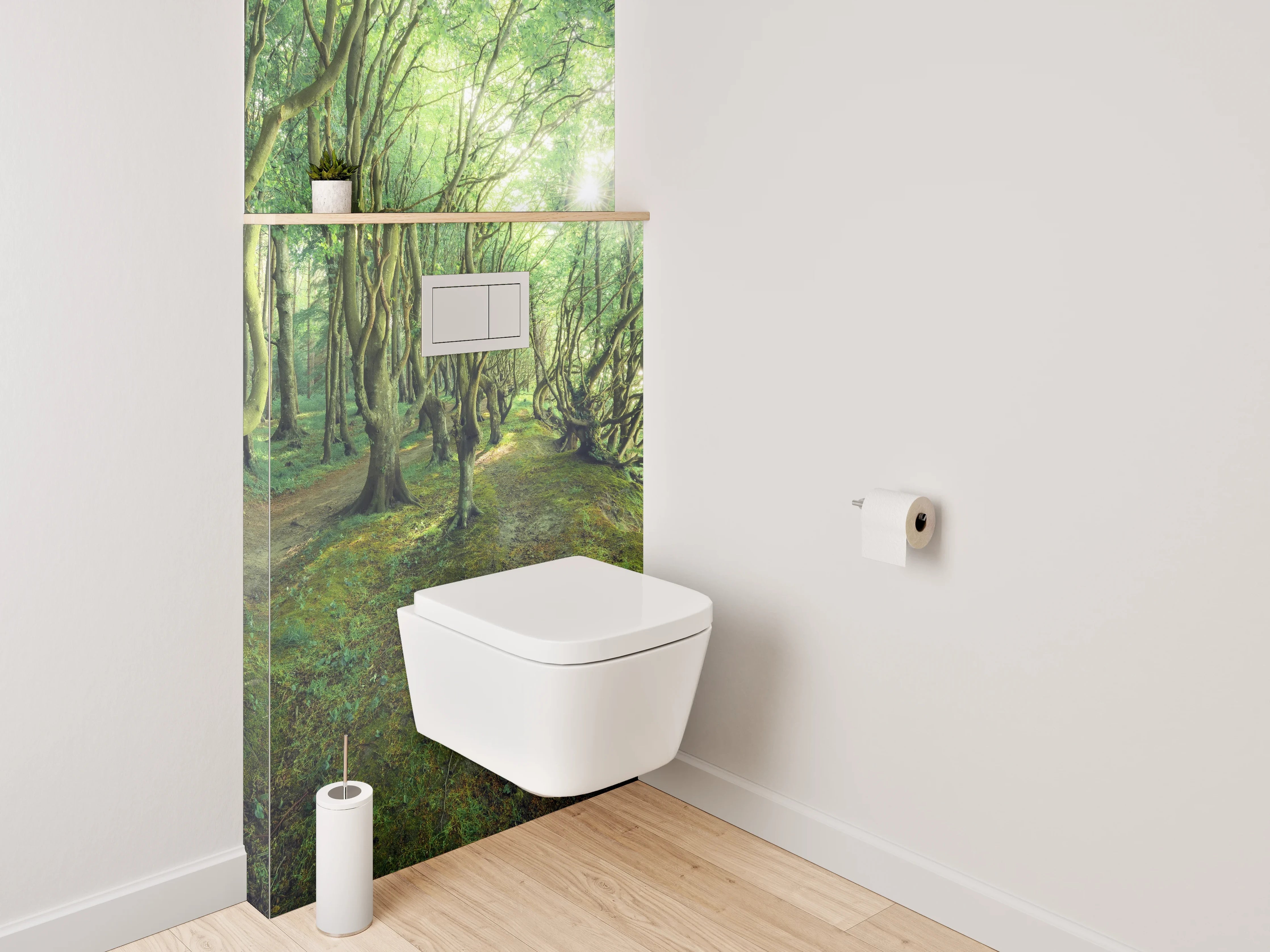 WC-Rückwand - Mystischer Wald im Sonnenlicht