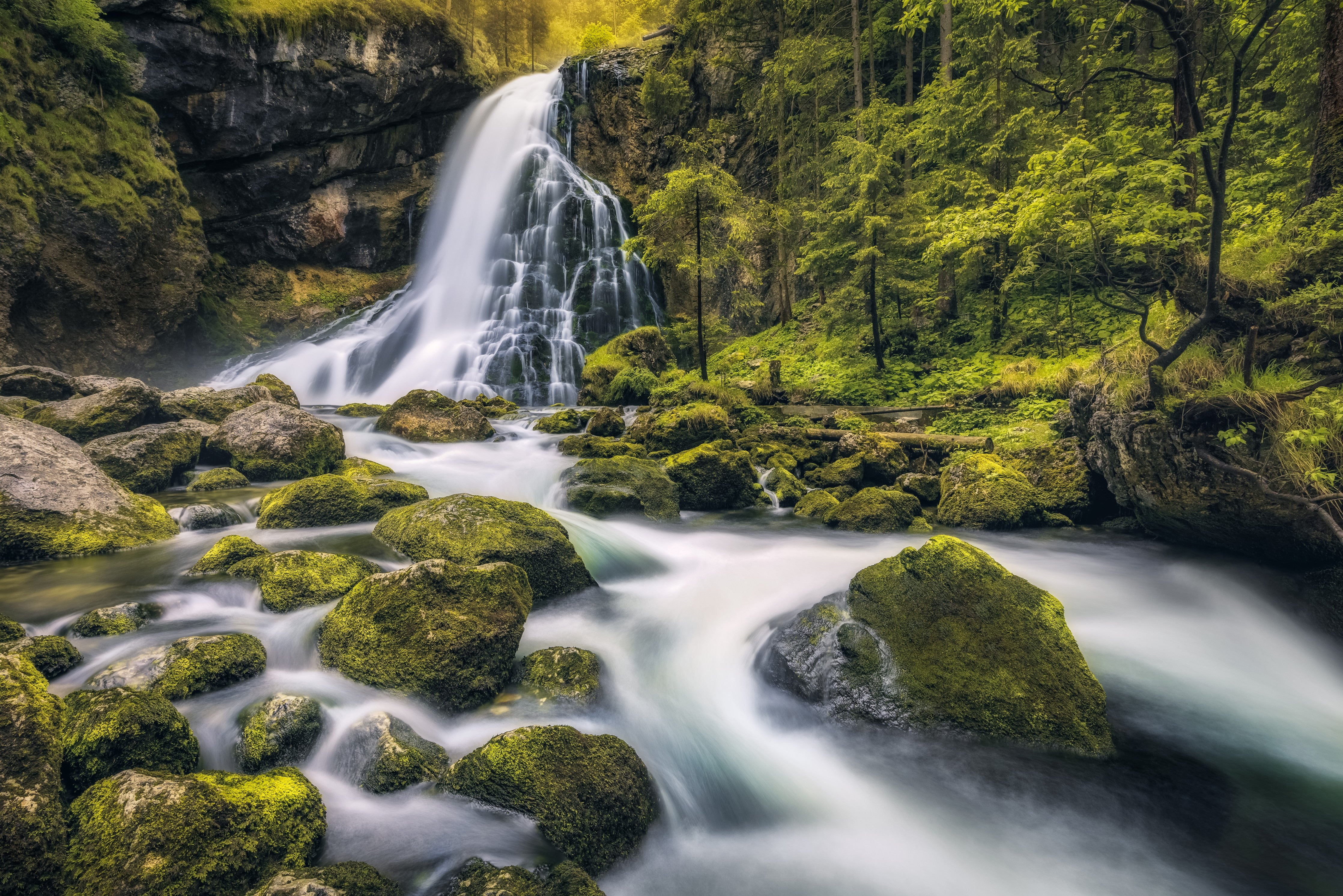 WC-Rückwand-Mystischer Wasserfall im Wald