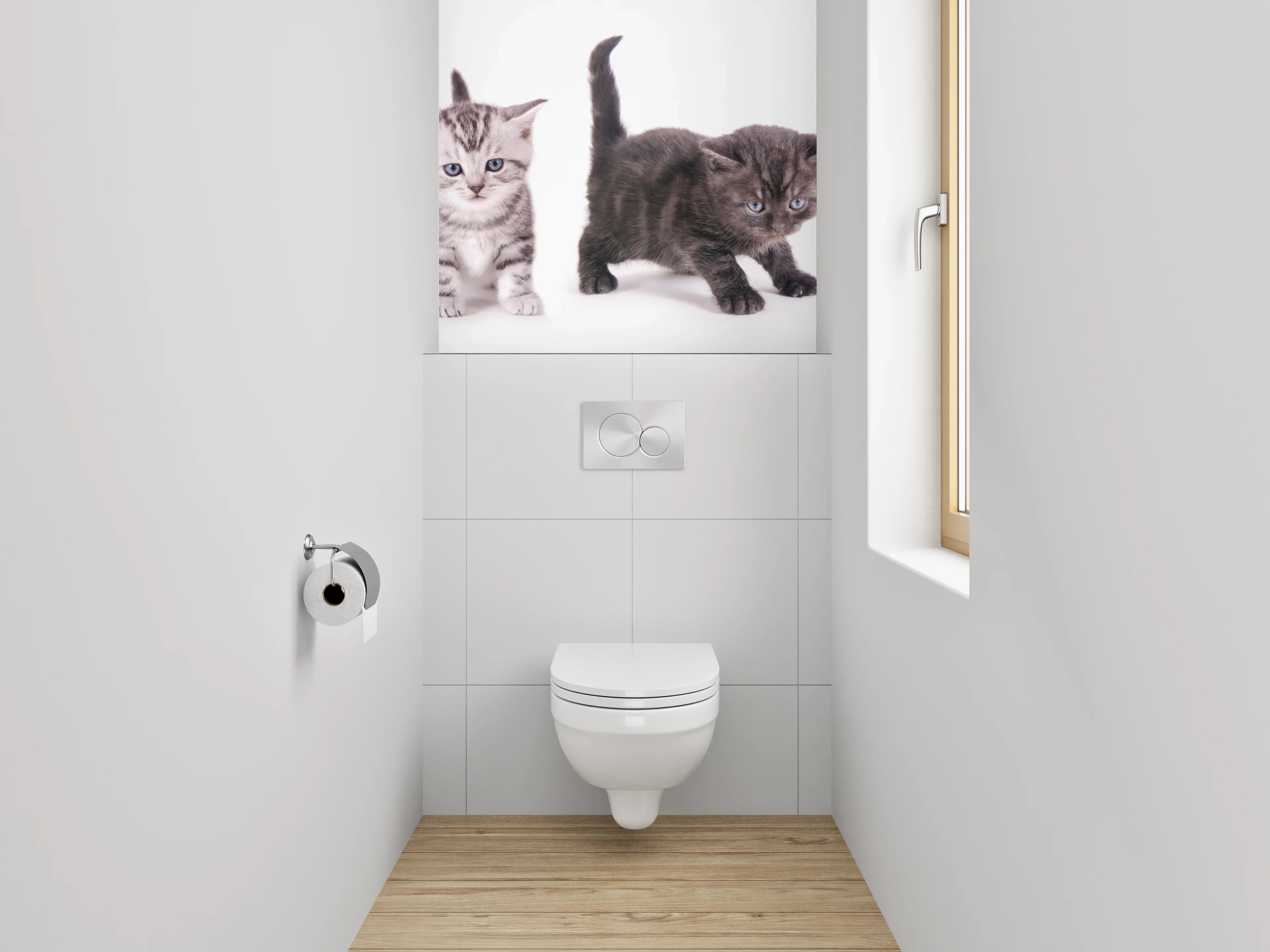 WC-Rückwand - Niedliche Katzenbabys auf Weiß