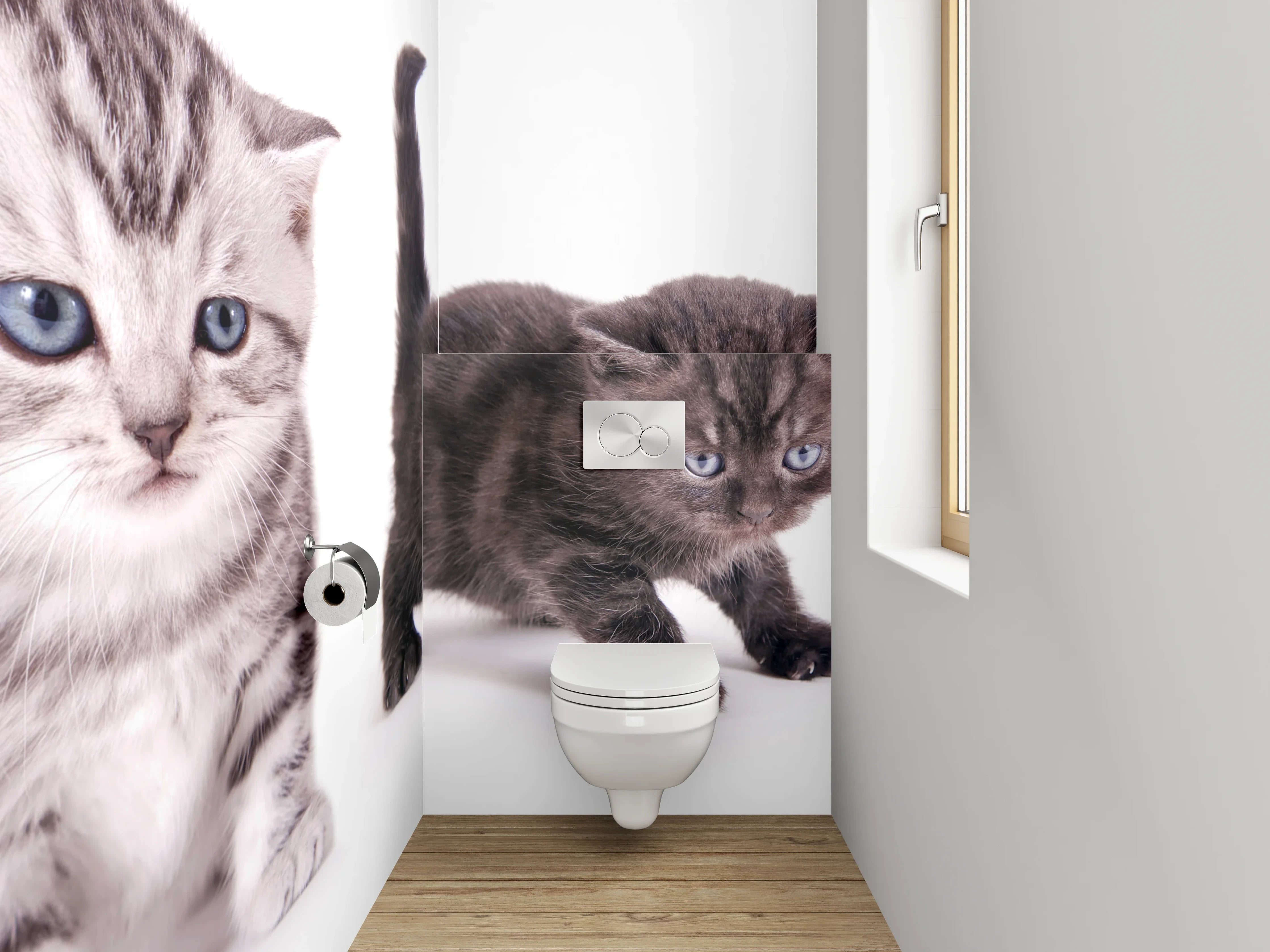 WC-Rückwand - Niedliche Katzenbabys auf Weiß