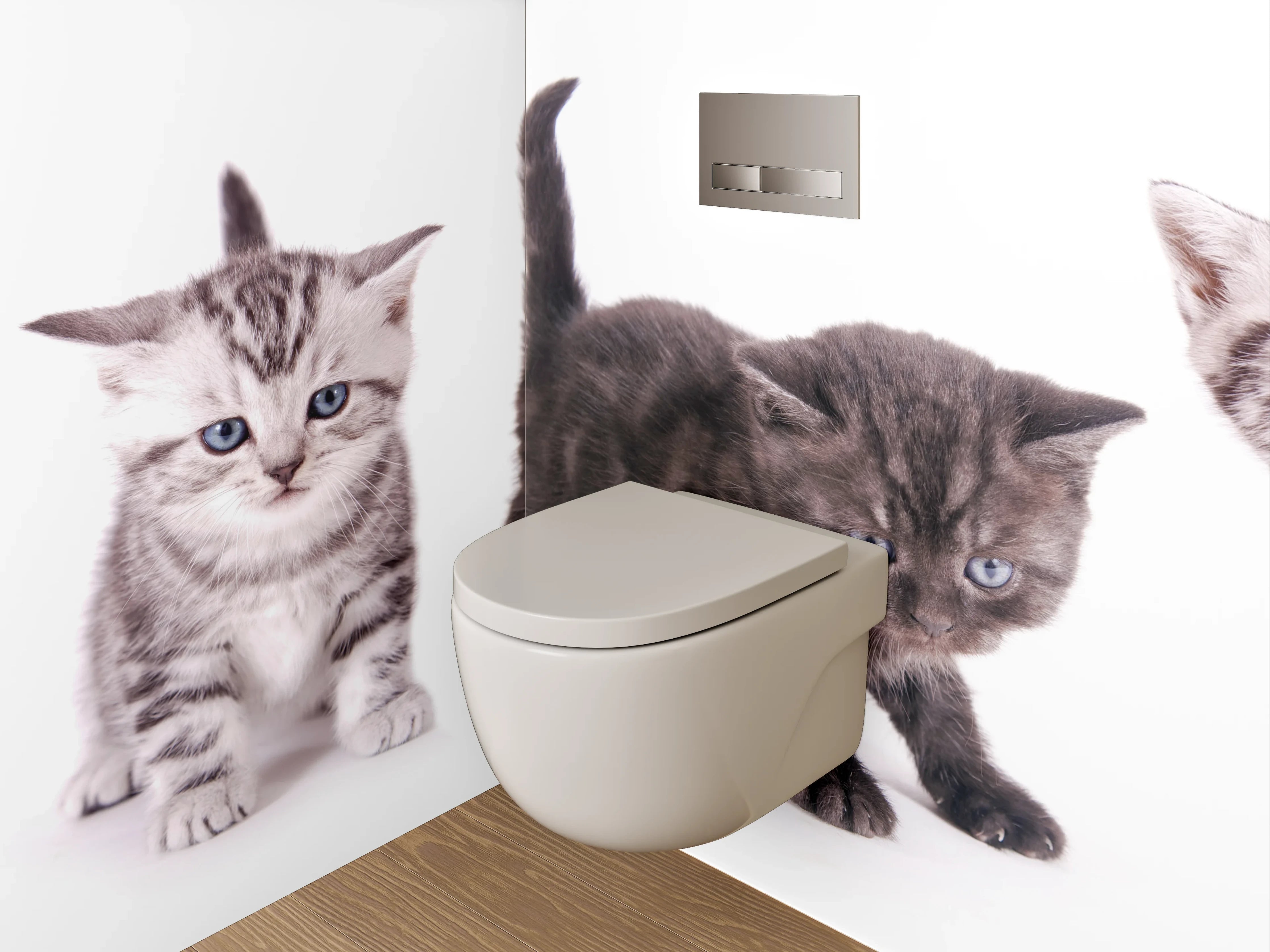 WC-Rückwand - Niedliche Katzenbabys auf Weiß