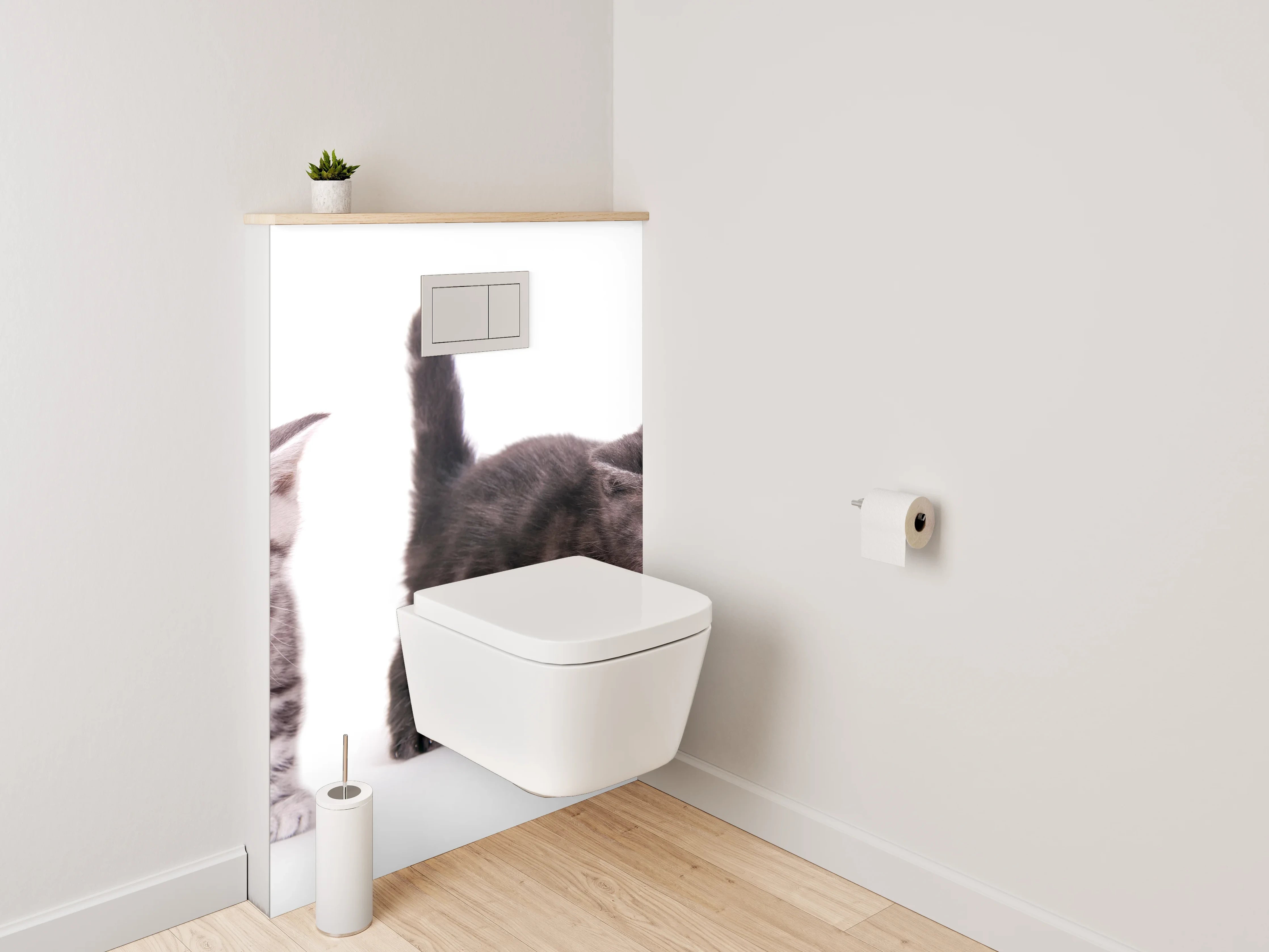 WC-Rückwand - Niedliche Katzenbabys auf Weiß