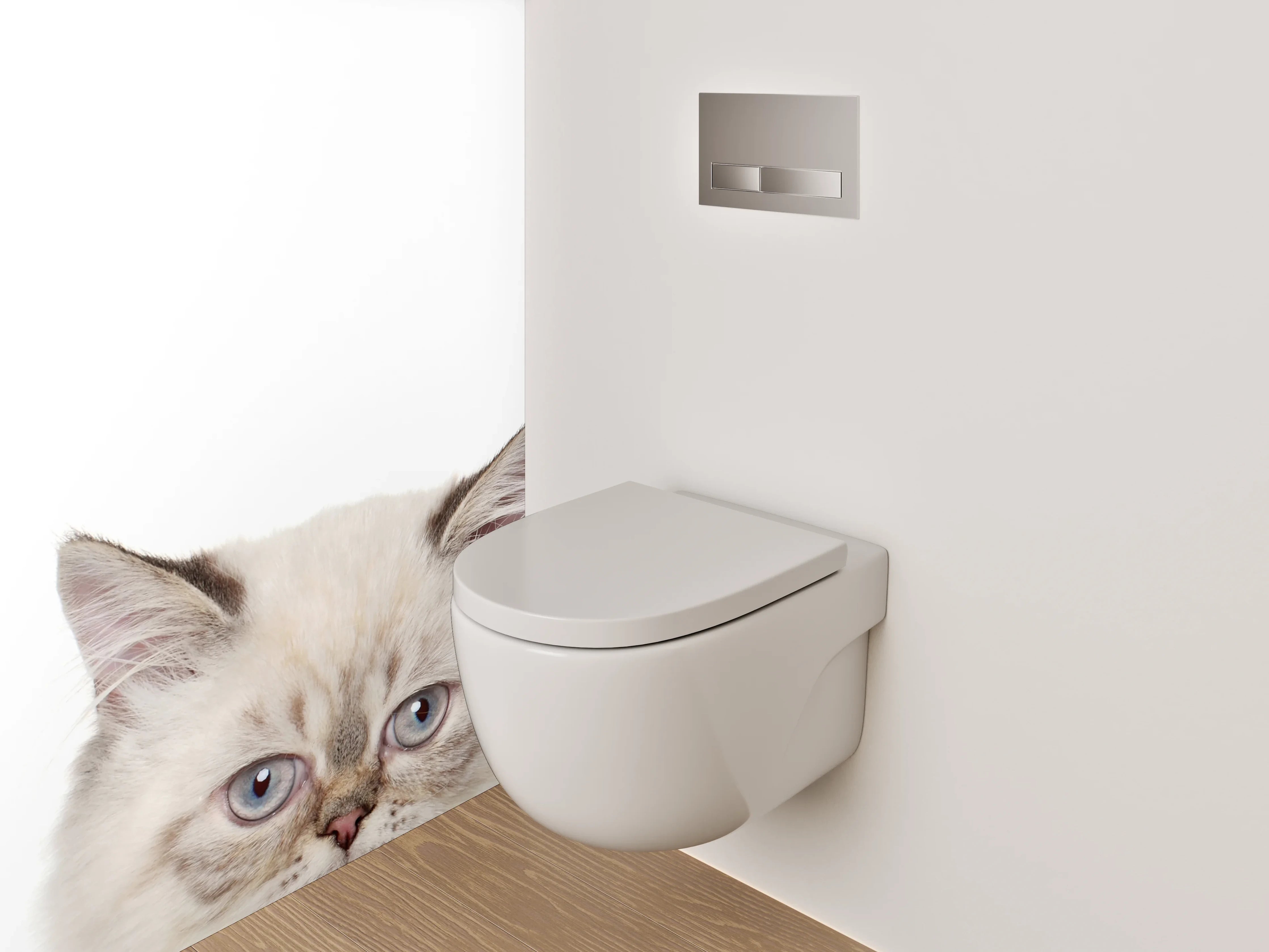 WC-Rückwand - Niedliche Katzenköpfe auf Weiß