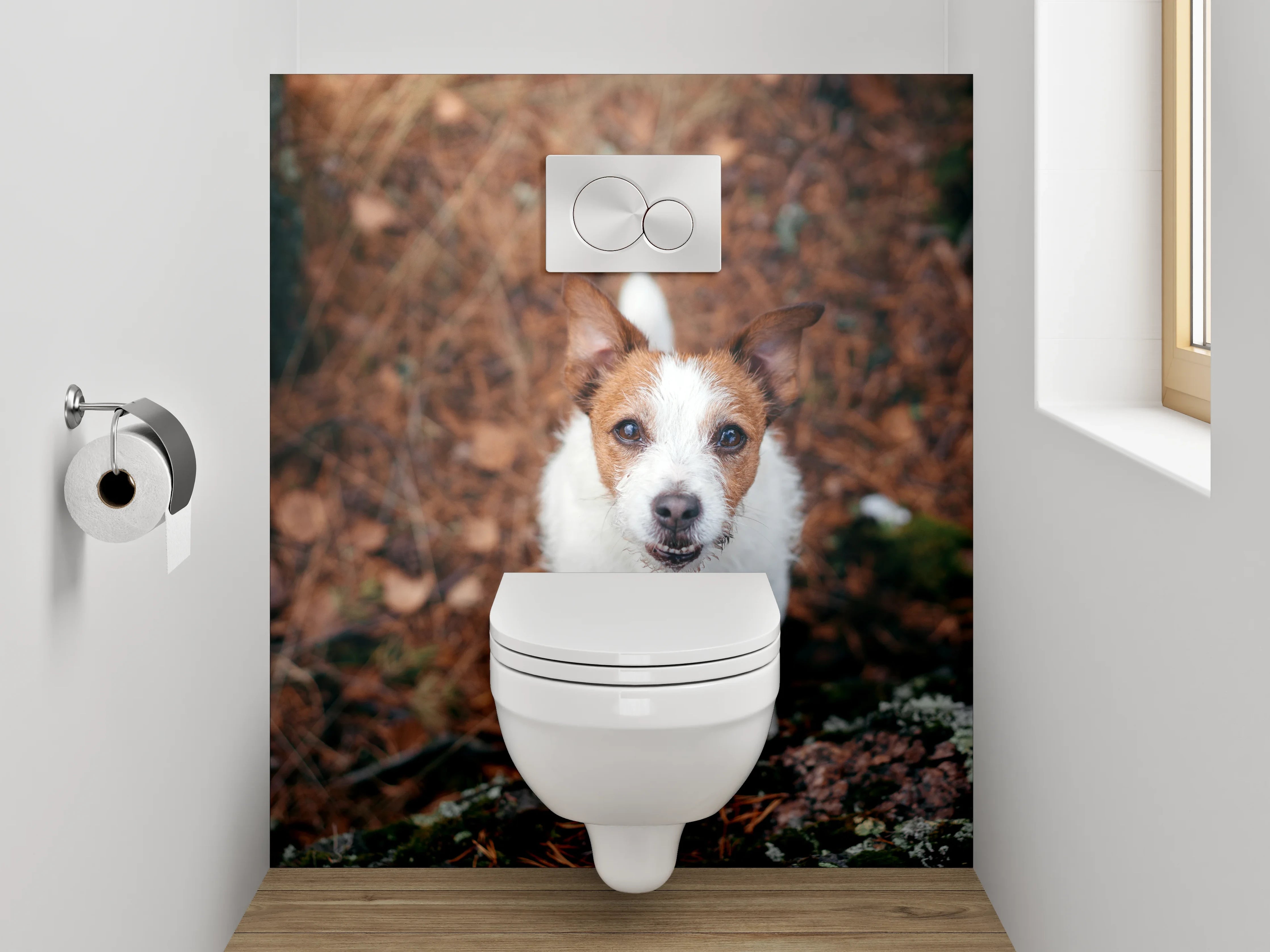 WC-Rückwand - Niedlicher Terrier im herbstlichen Wald