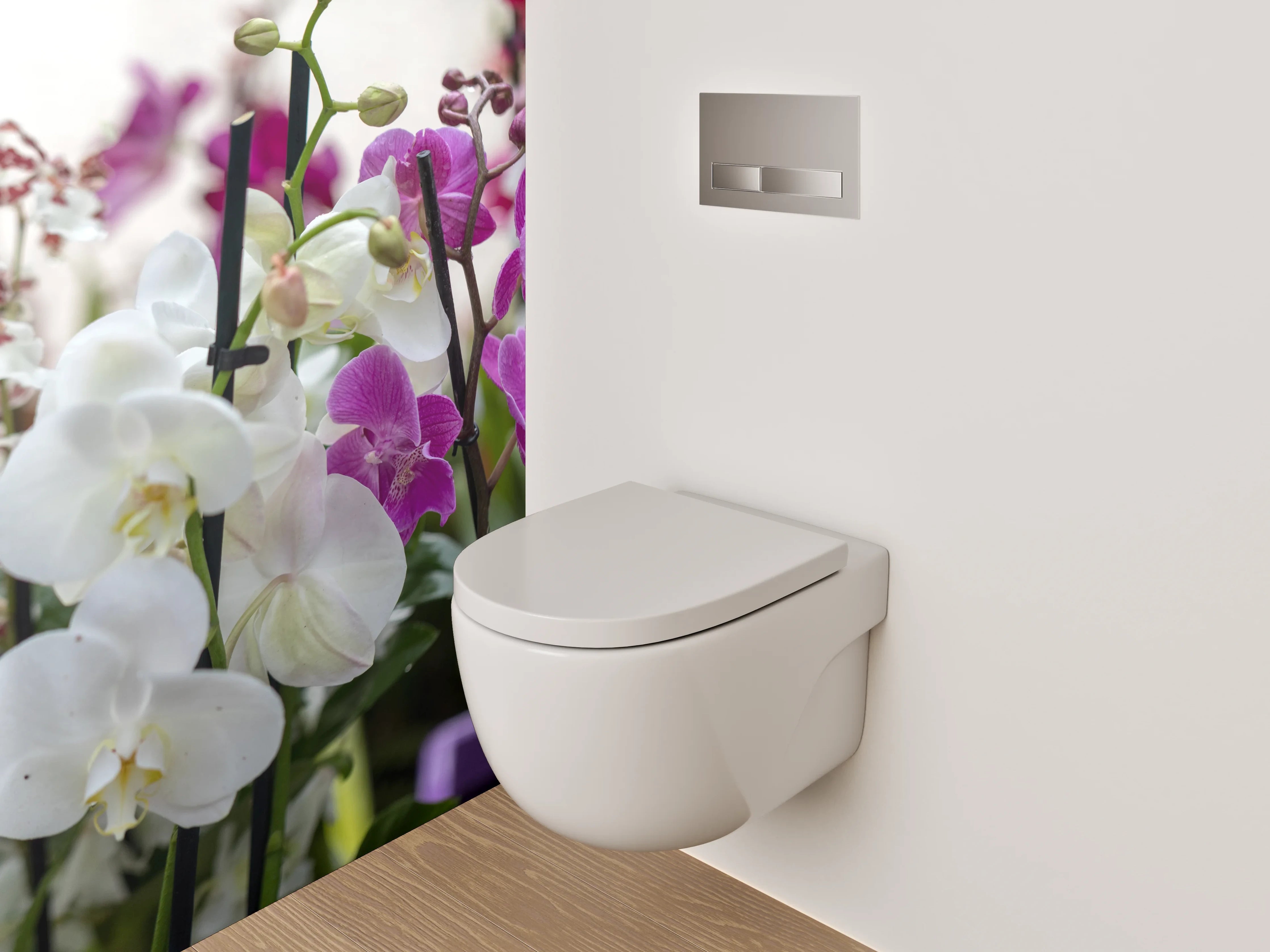 WC-Rückwand - Orchideen Blütenpracht für stilvolle Räume