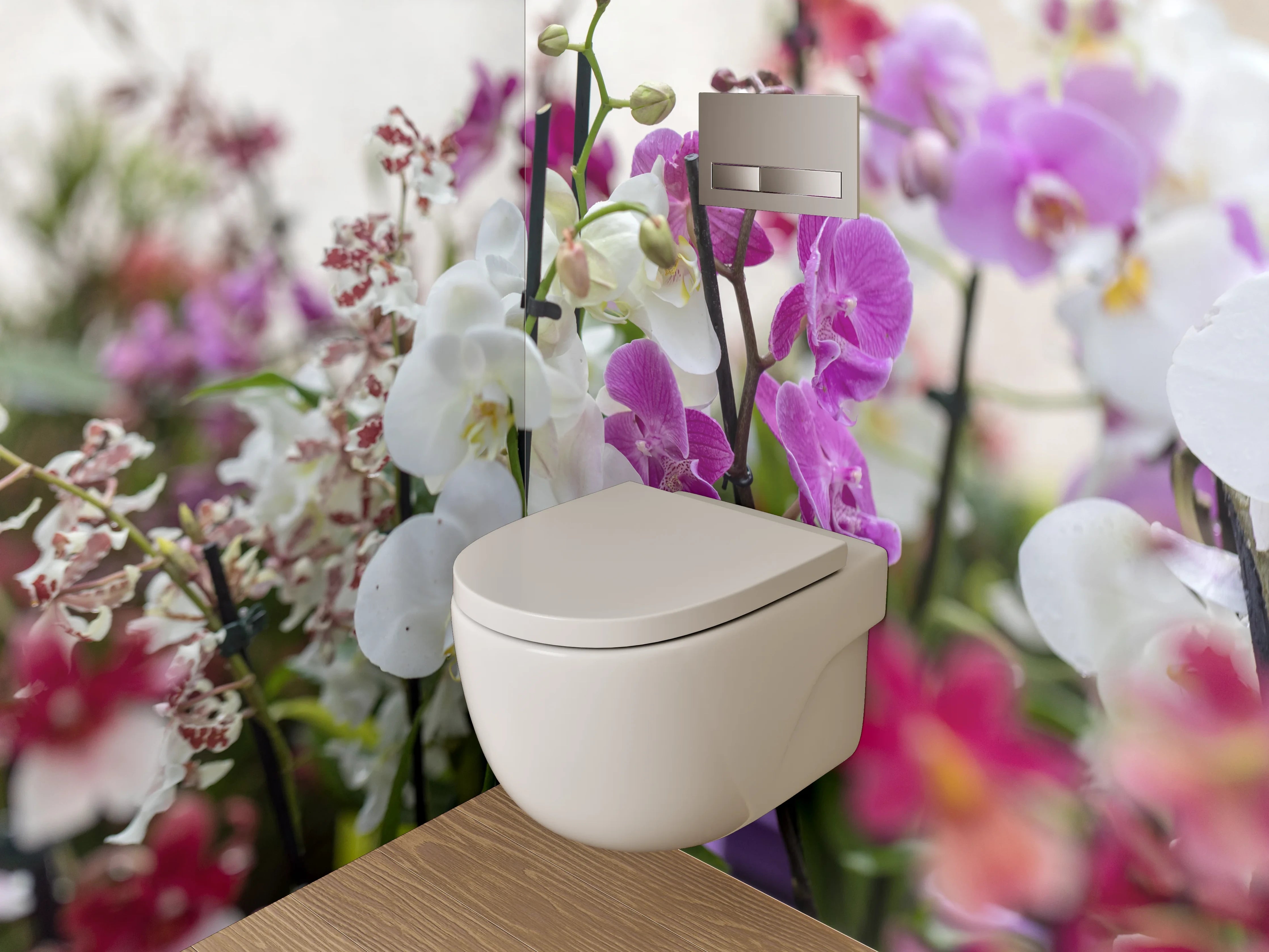 WC-Rückwand - Orchideen Blütenpracht für stilvolle Räume