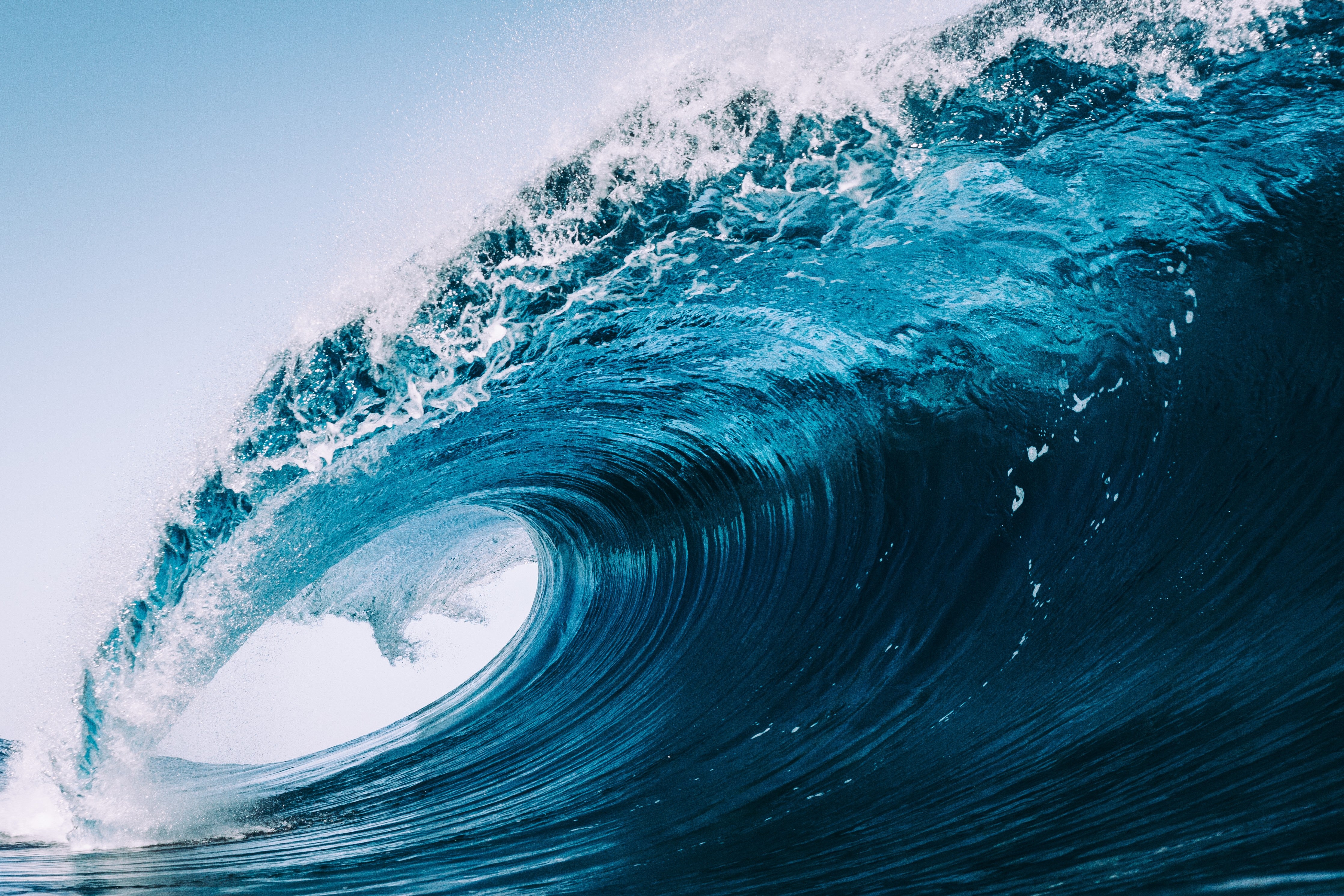 WC-Rückwand-Ozeanwelle Kraftvoll