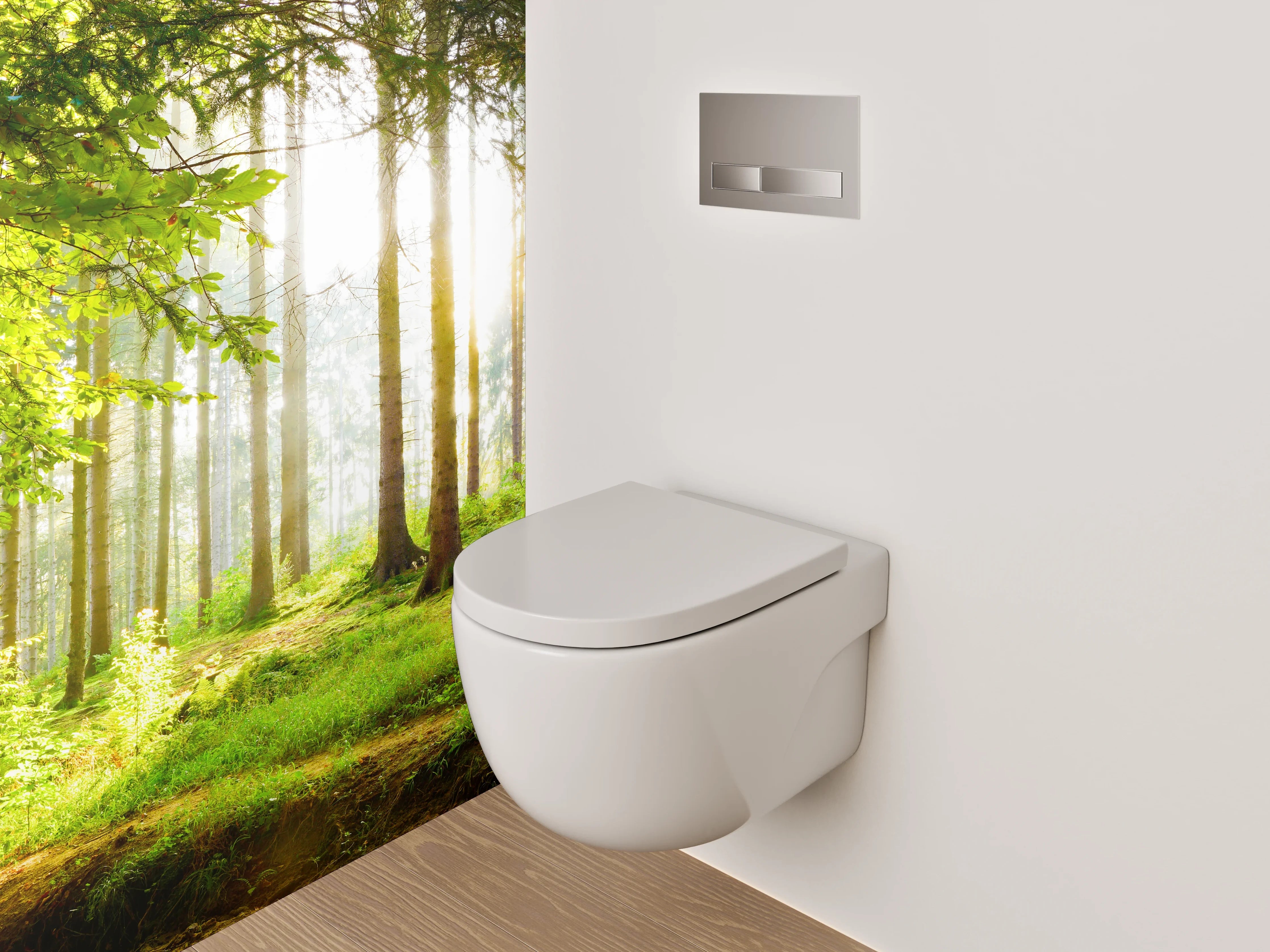 WC-Rückwand - Panorama Wald Sonnenstrahlen Frühling