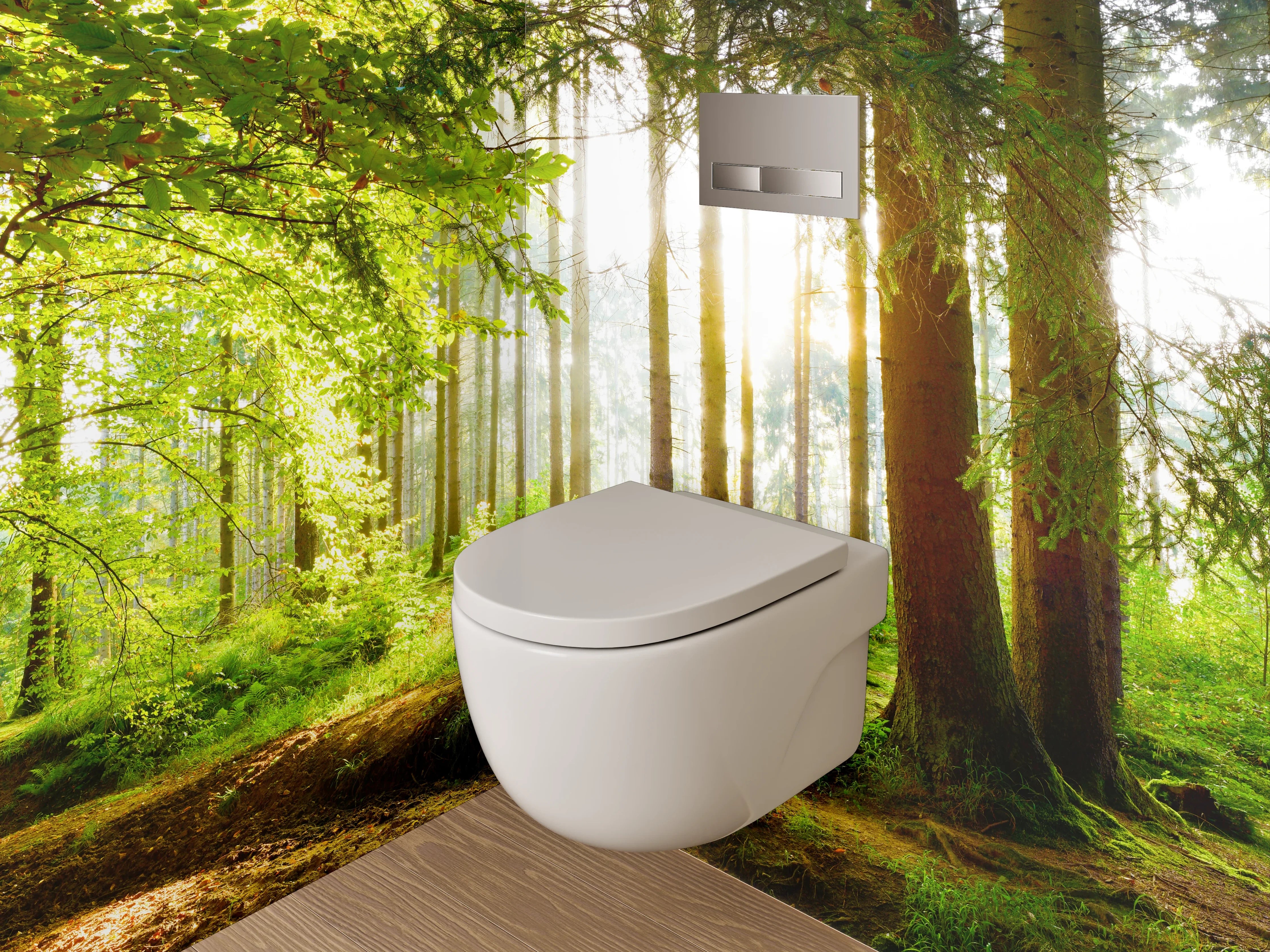WC-Rückwand - Panorama Wald Sonnenstrahlen Frühling