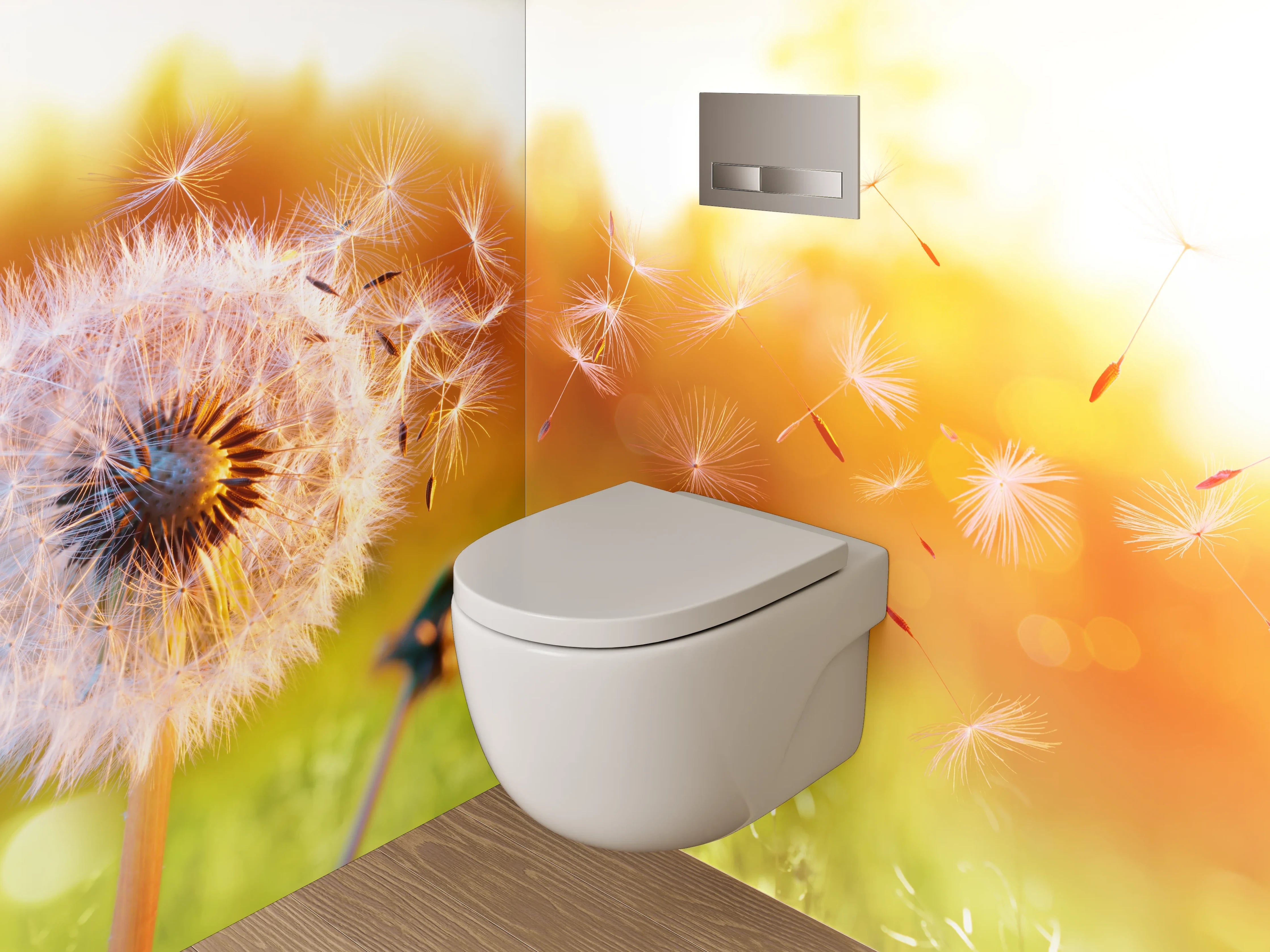 WC-Rückwand - Pusteblume im Sonnenlicht Fotomotiv