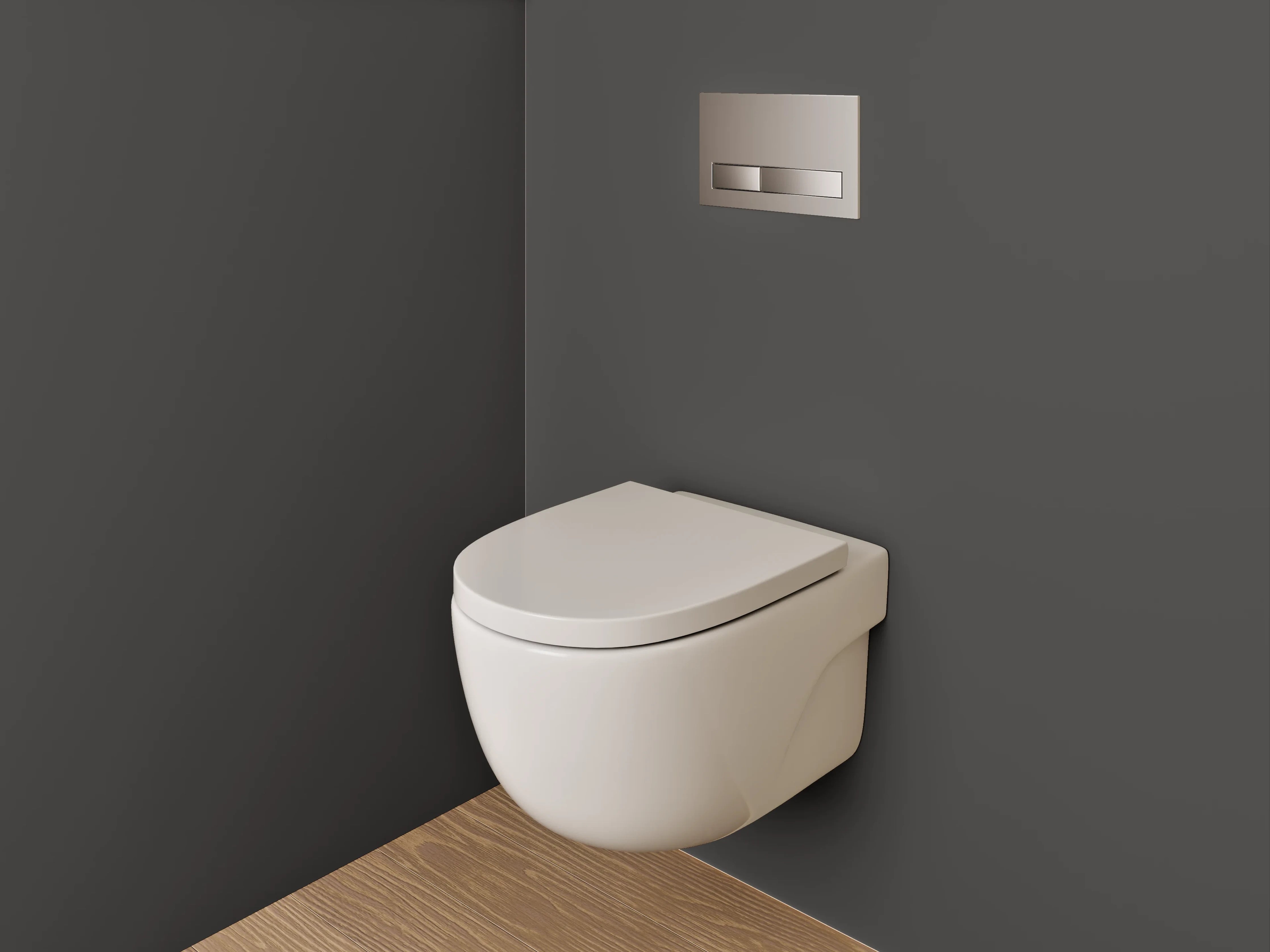 WC-Rückwand - RAL 8019 Graubraun