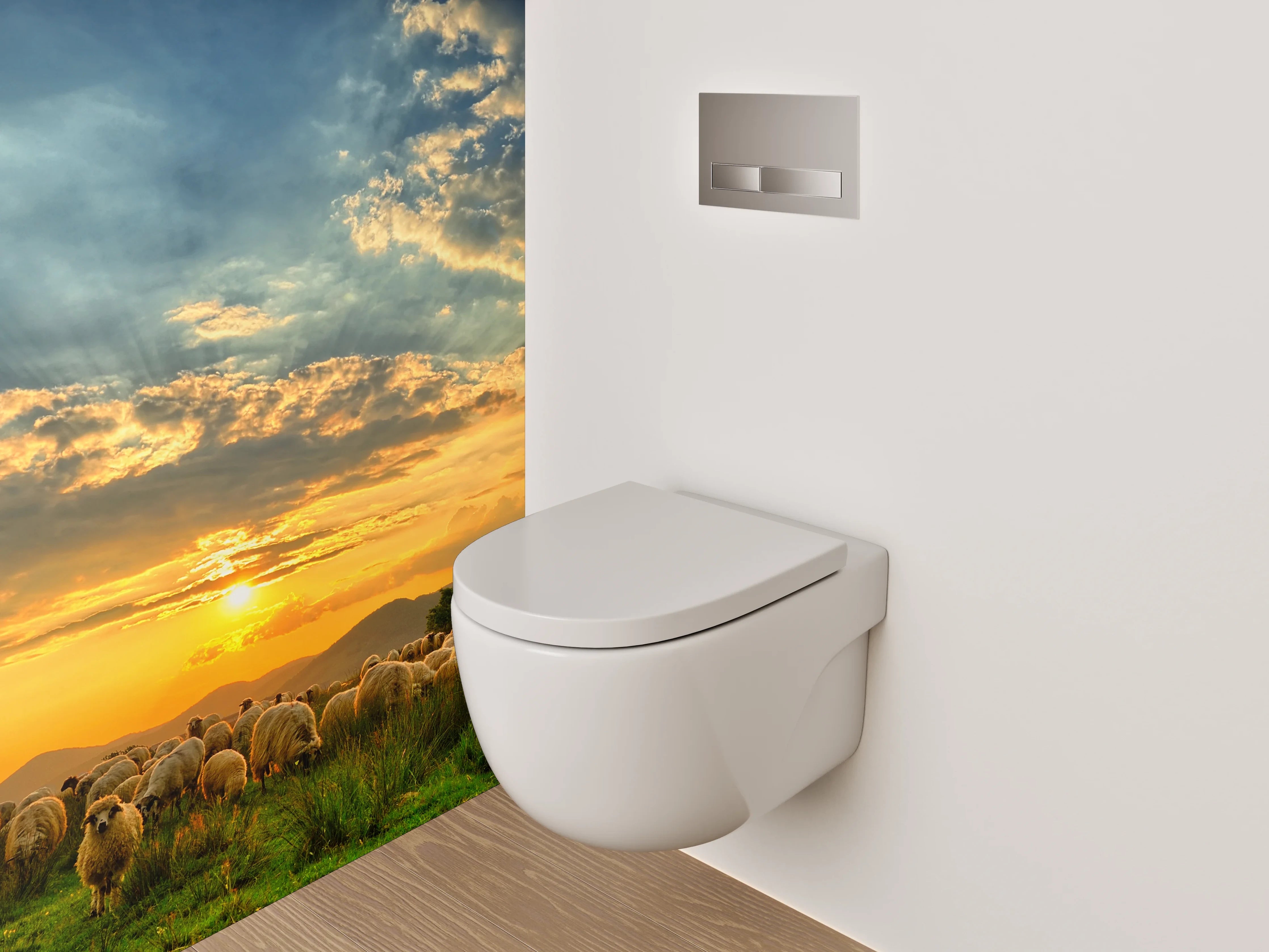 WC-Rückwand - Schafe auf der Weide bei Sonnenuntergang