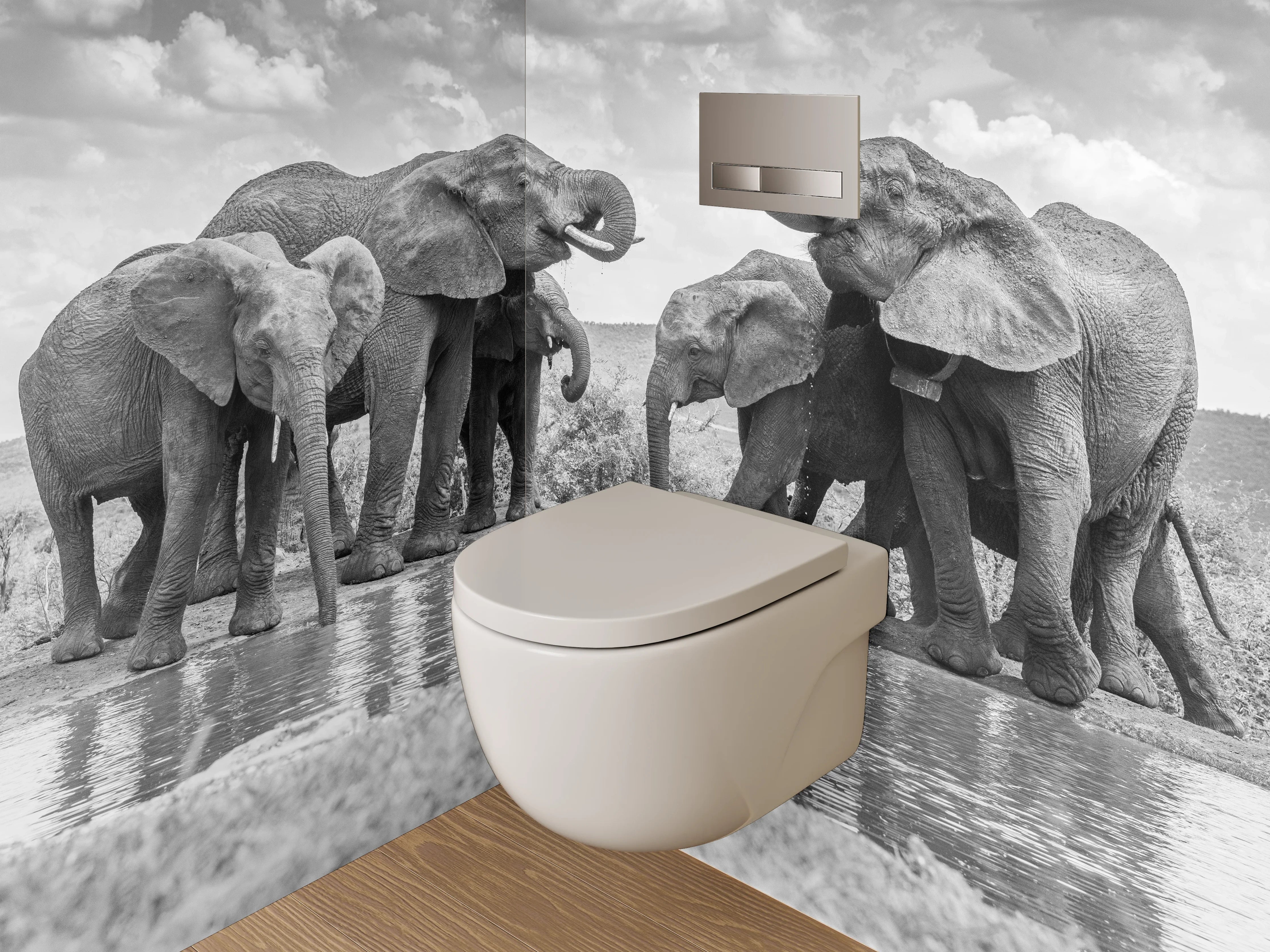 WC-Rückwand - Schwarz-weiße Elefanten am Wasserloch