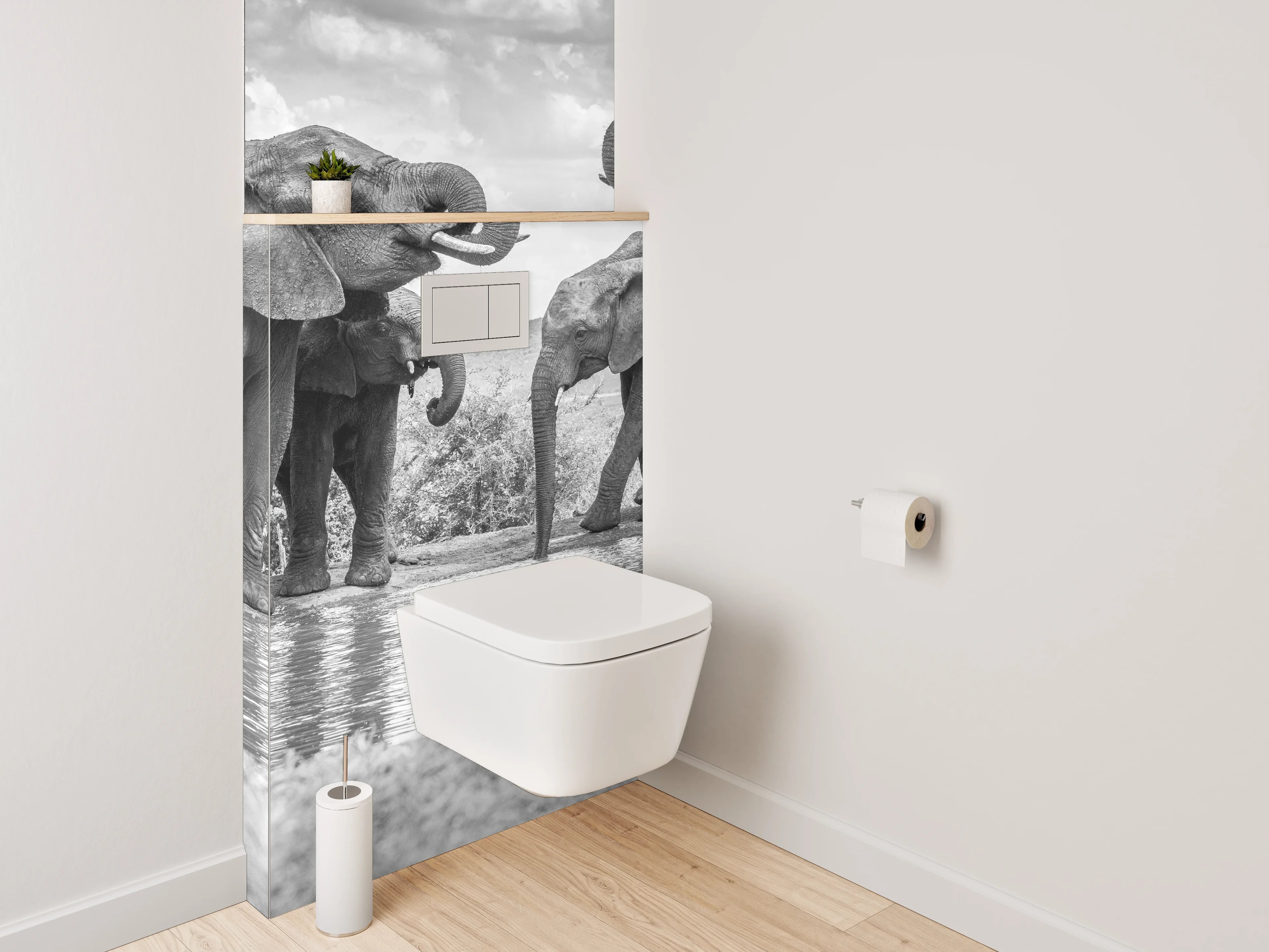 WC-Rückwand - Schwarz-weiße Elefanten am Wasserloch