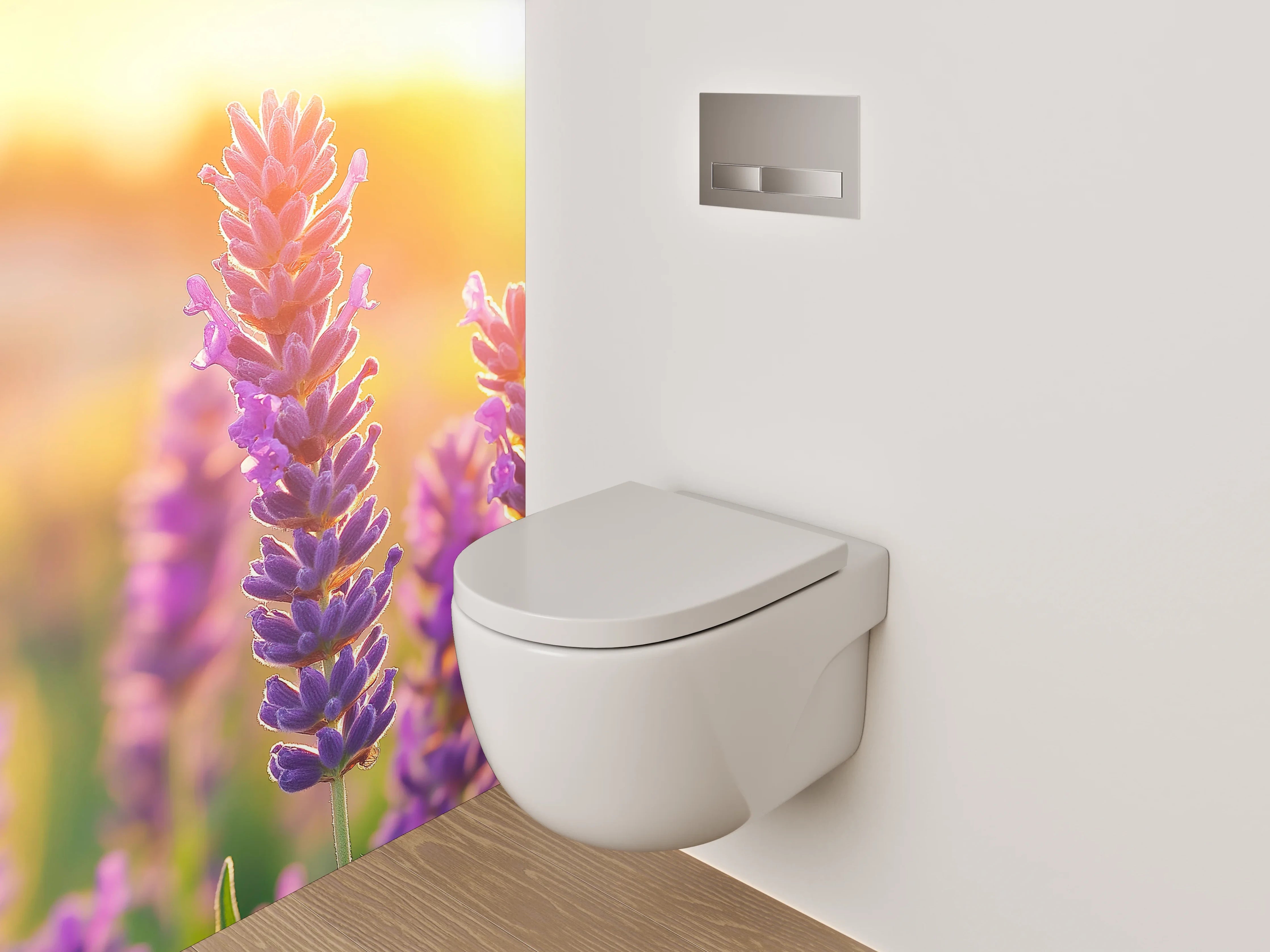 WC-Rückwand - Sommerlicher Lavendel im Sonnenlicht