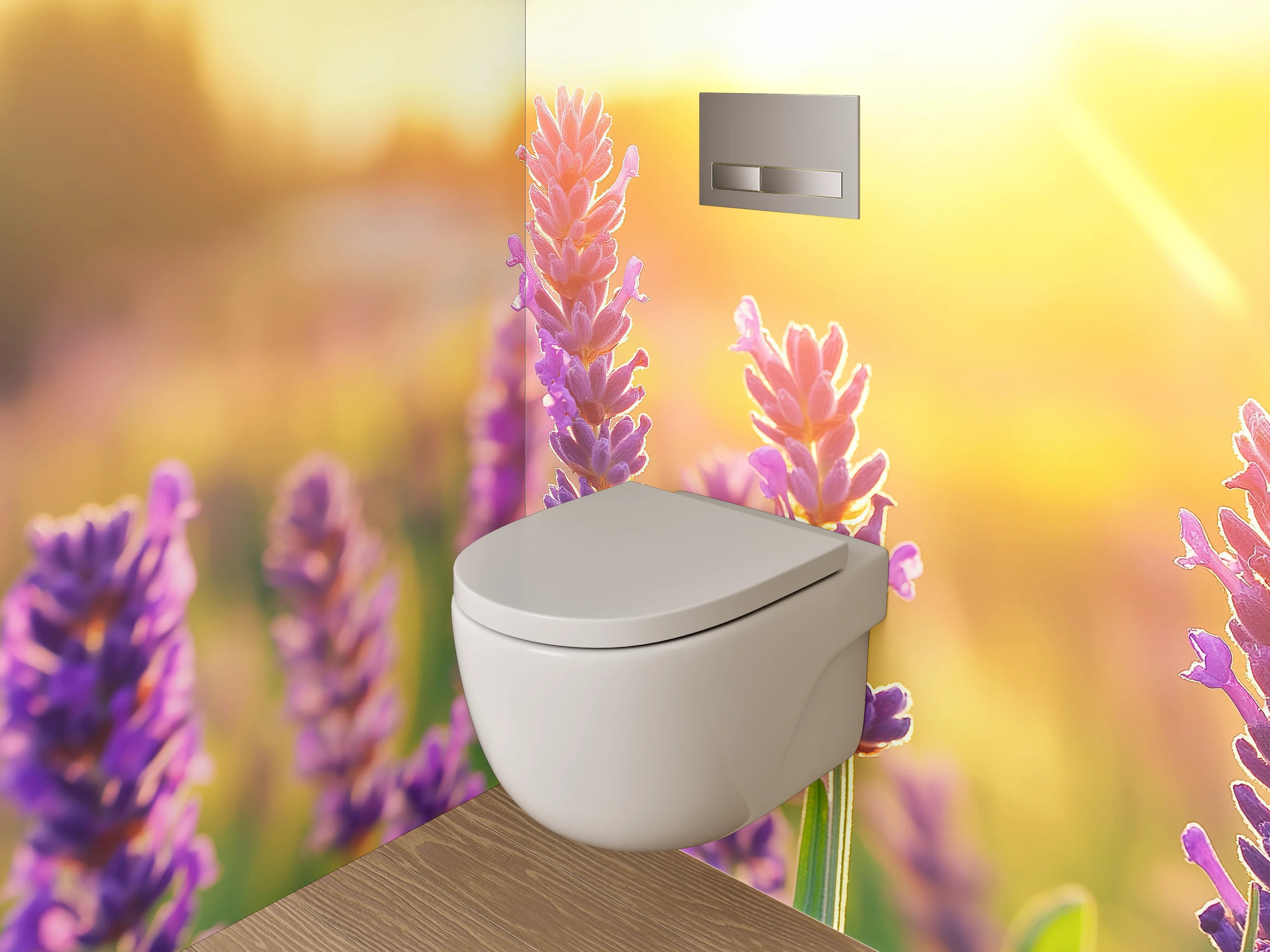 WC-Rückwand - Sommerlicher Lavendel im Sonnenlicht