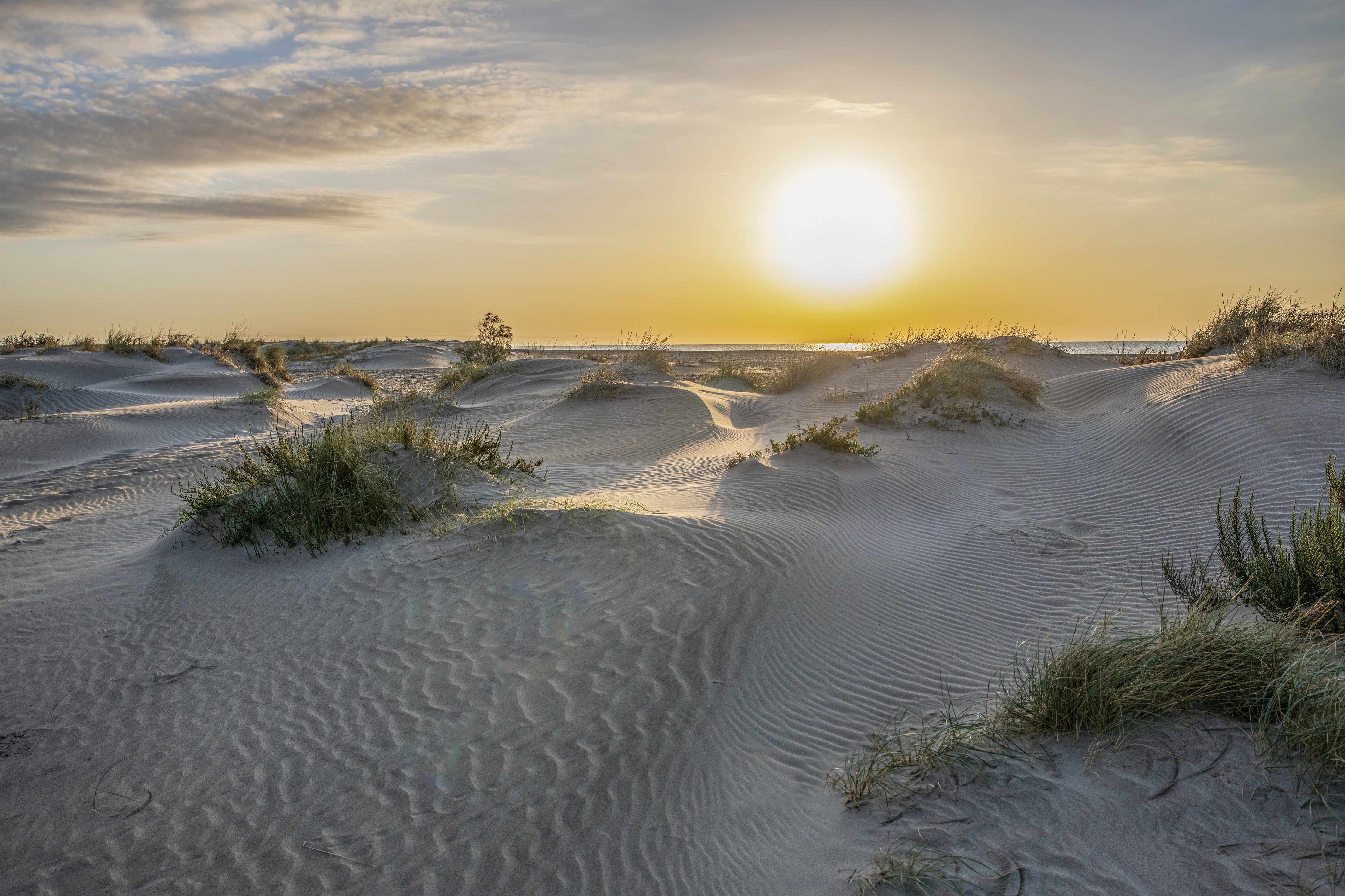 WC-Rückwand-Sonnenaufgang über Sanddünen Küste