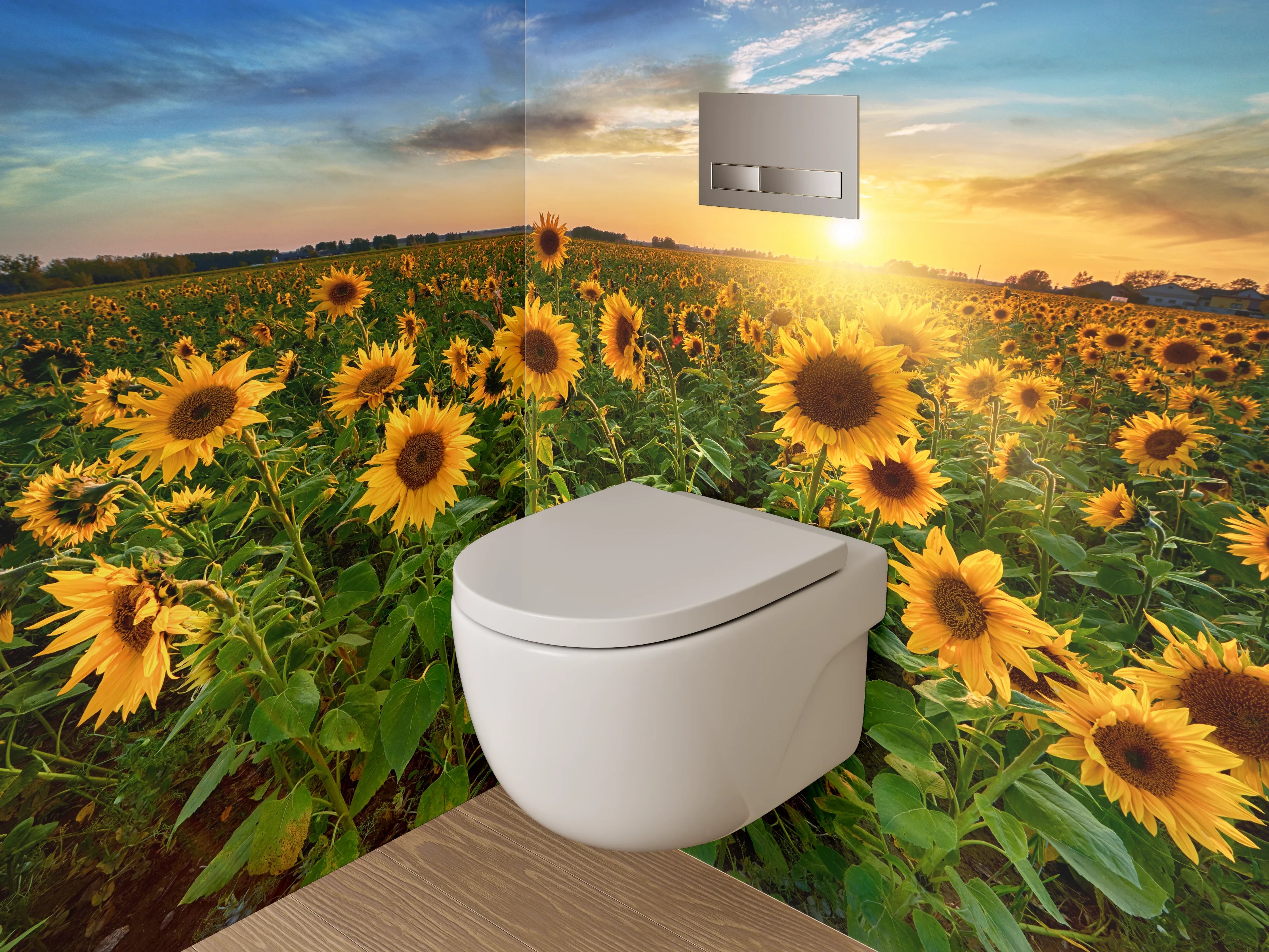 WC-Rückwand - Sonnenblumenfeld im Sonnenuntergang