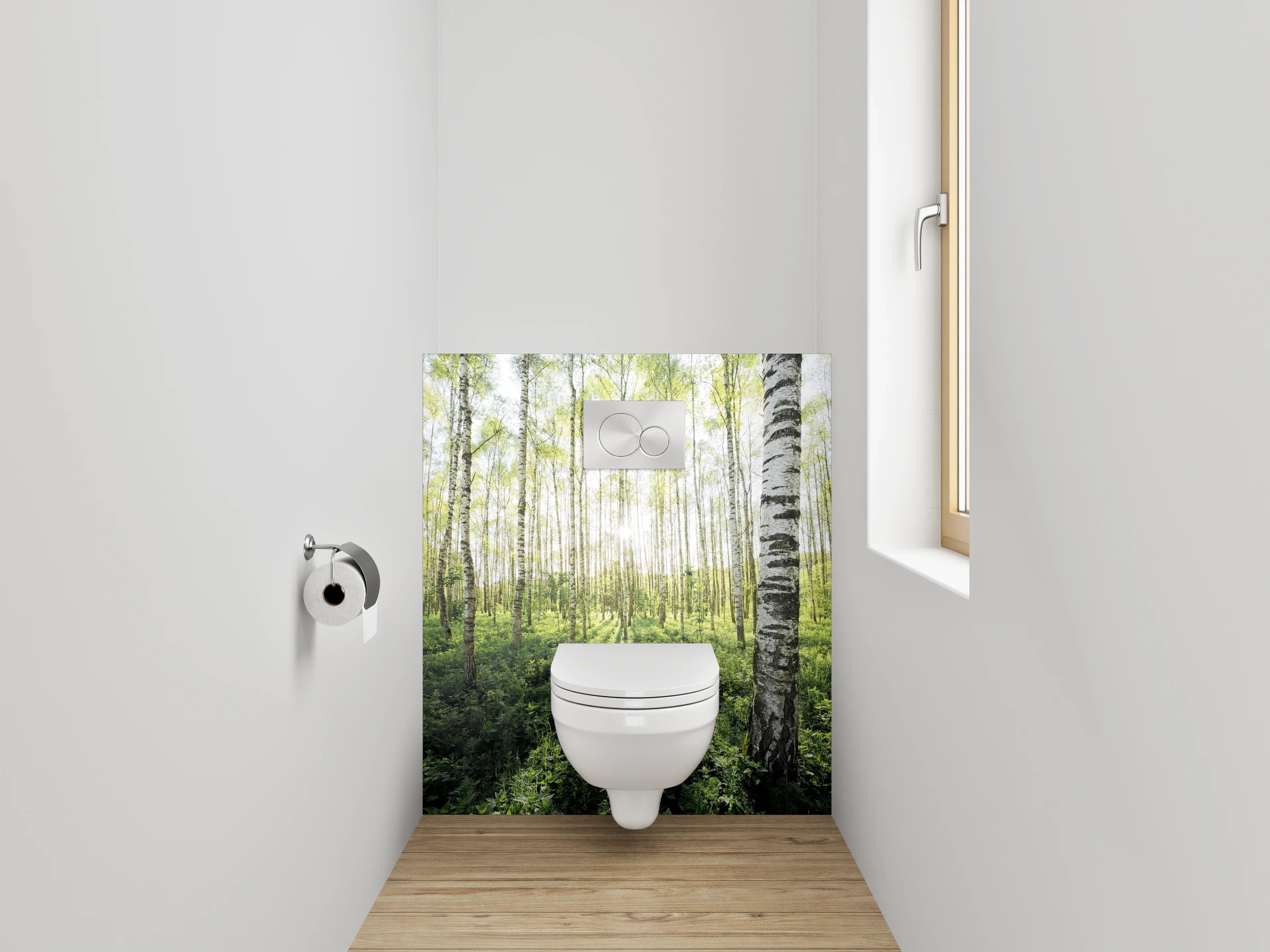 WC-Rückwand - Sonnendurchfluteter Birkenwald Naturmotiv