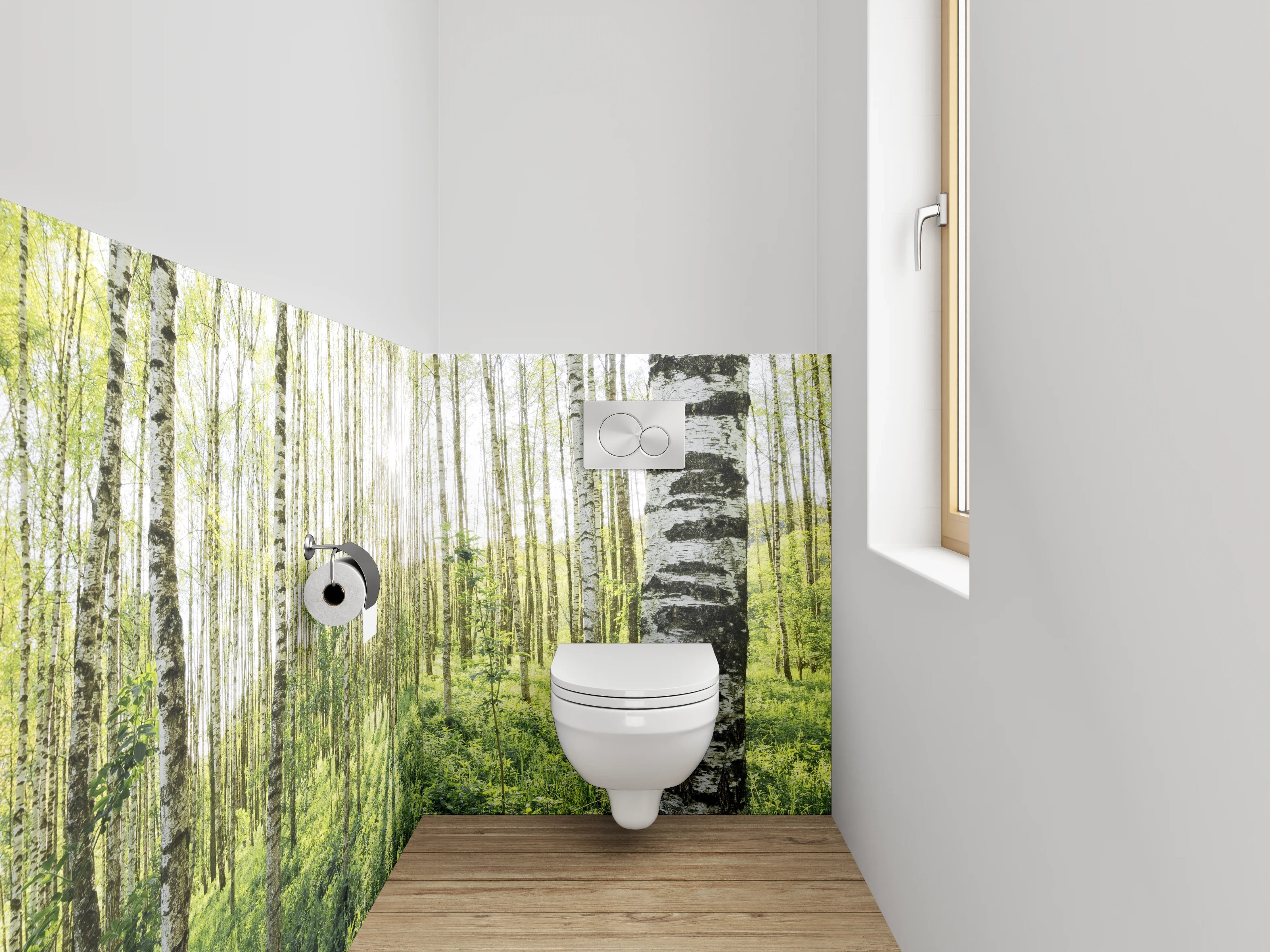 WC-Rückwand - Sonnendurchfluteter Birkenwald Naturmotiv