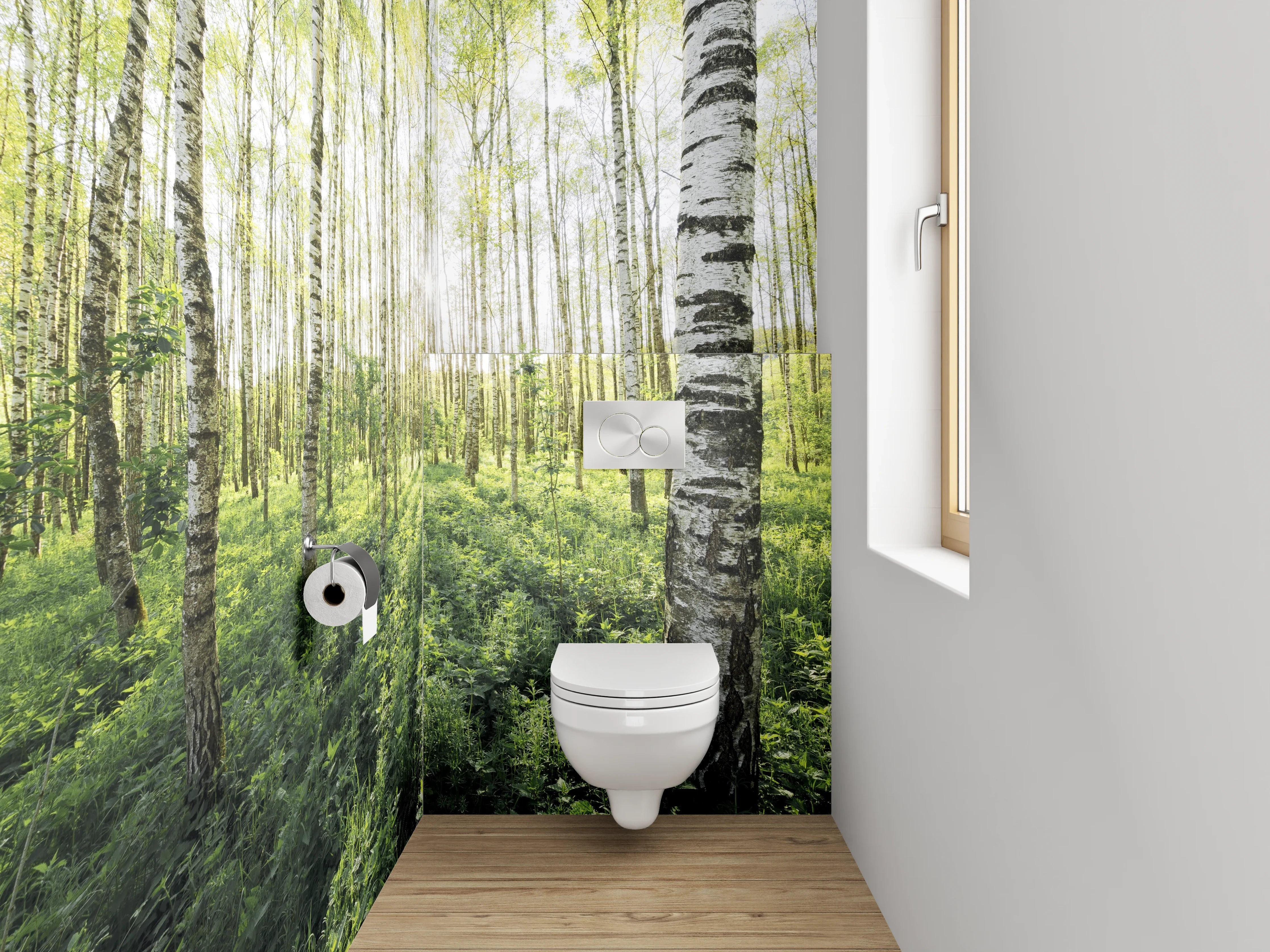 WC-Rückwand - Sonnendurchfluteter Birkenwald Naturmotiv