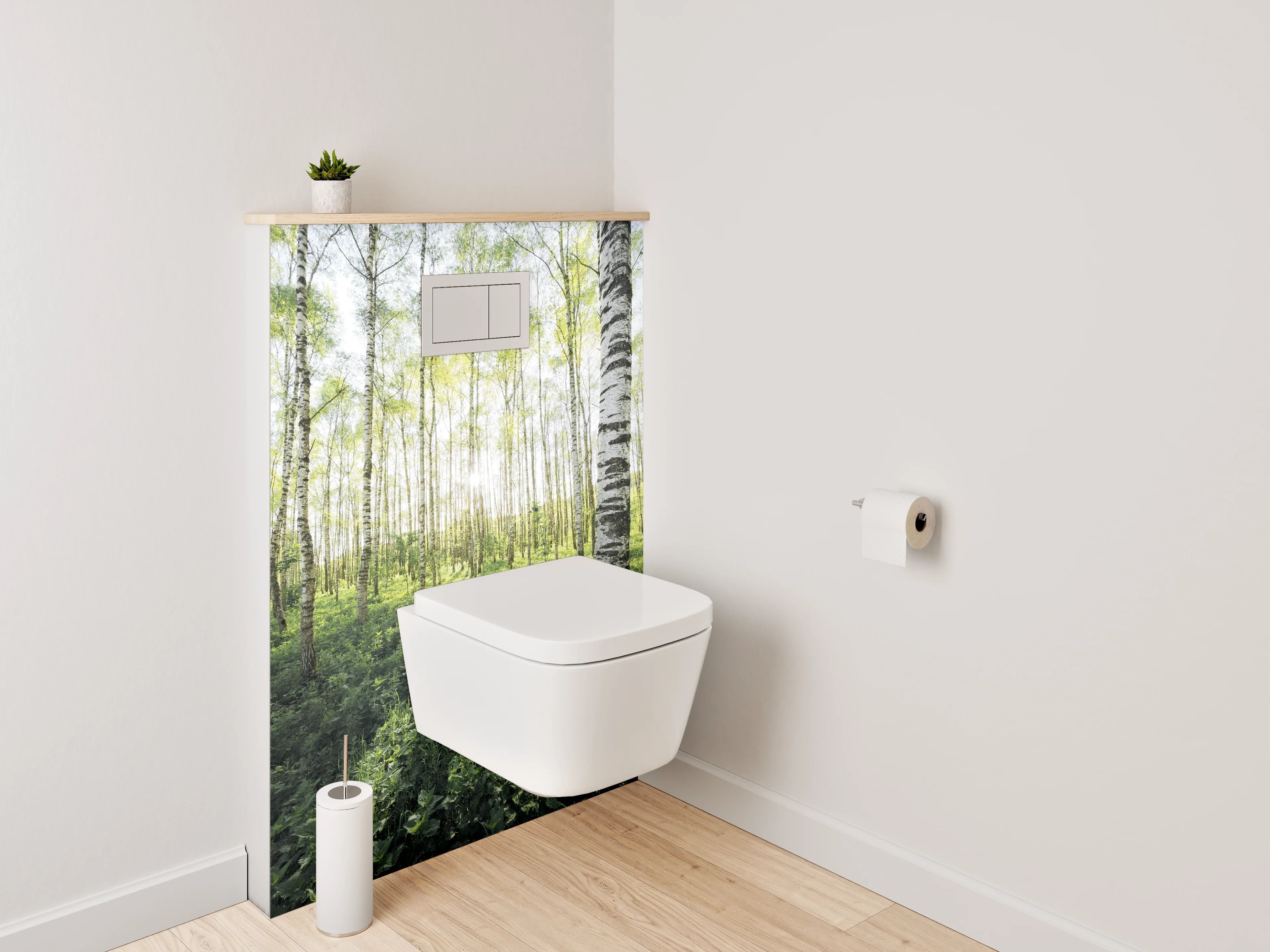 WC-Rückwand - Sonnendurchfluteter Birkenwald Naturmotiv