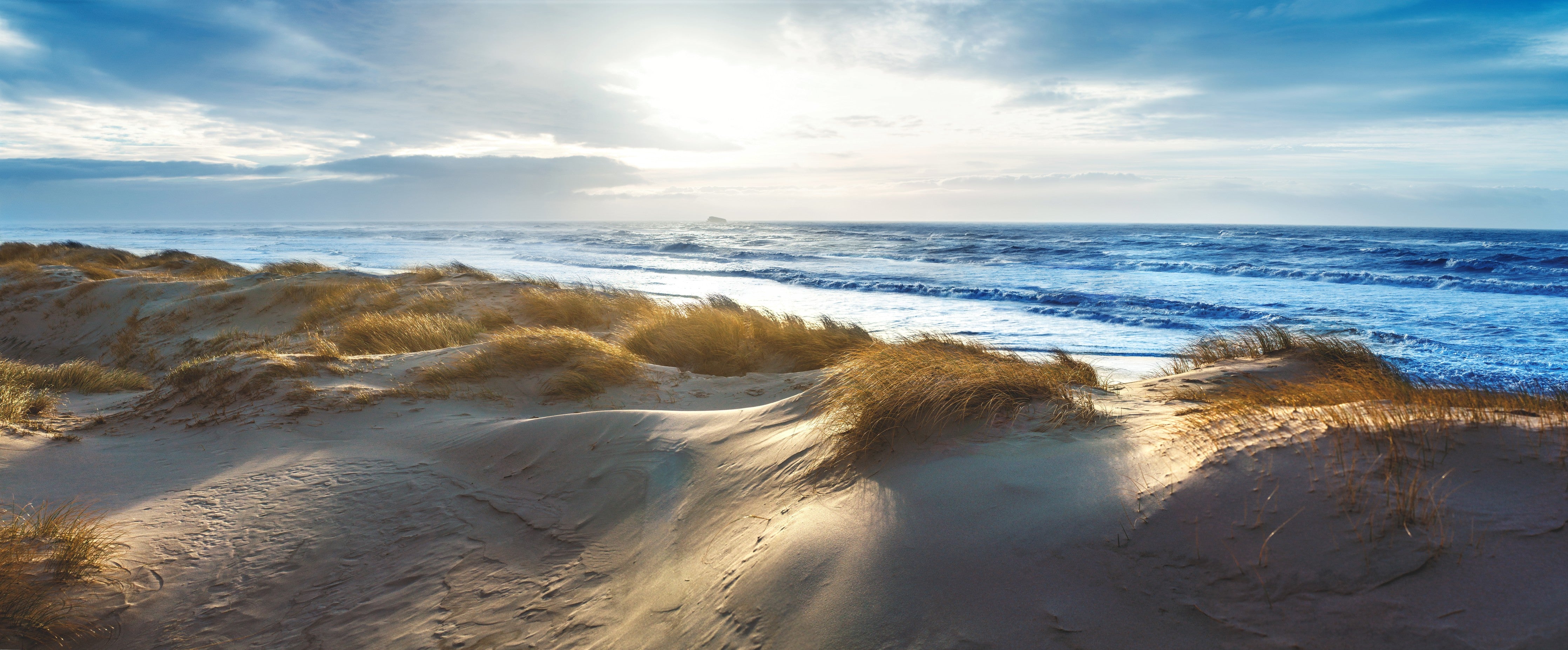 WC-Rückwand-Sonnenlicht am Dünenstrand Panorama