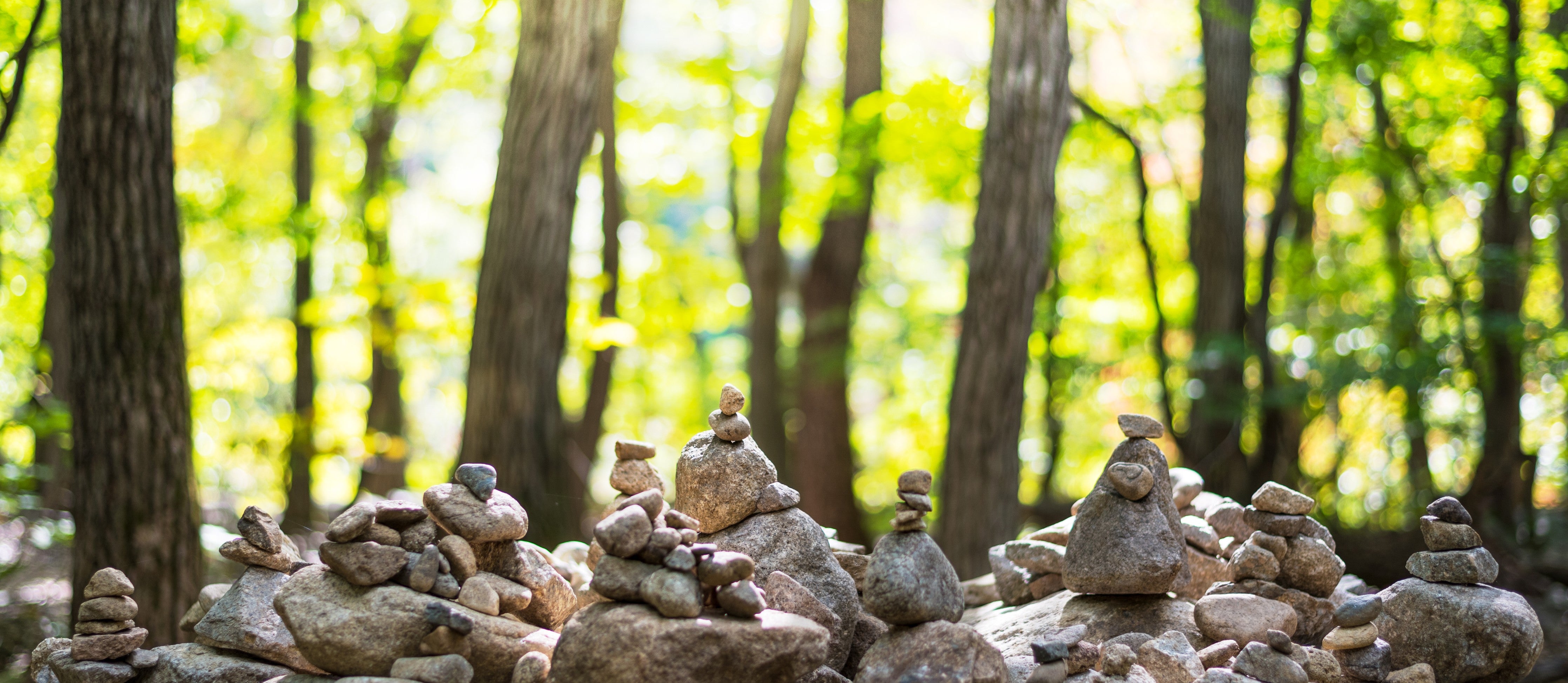 WC-Rückwand-Steinpyramiden im Wald – Zen-Motiv
