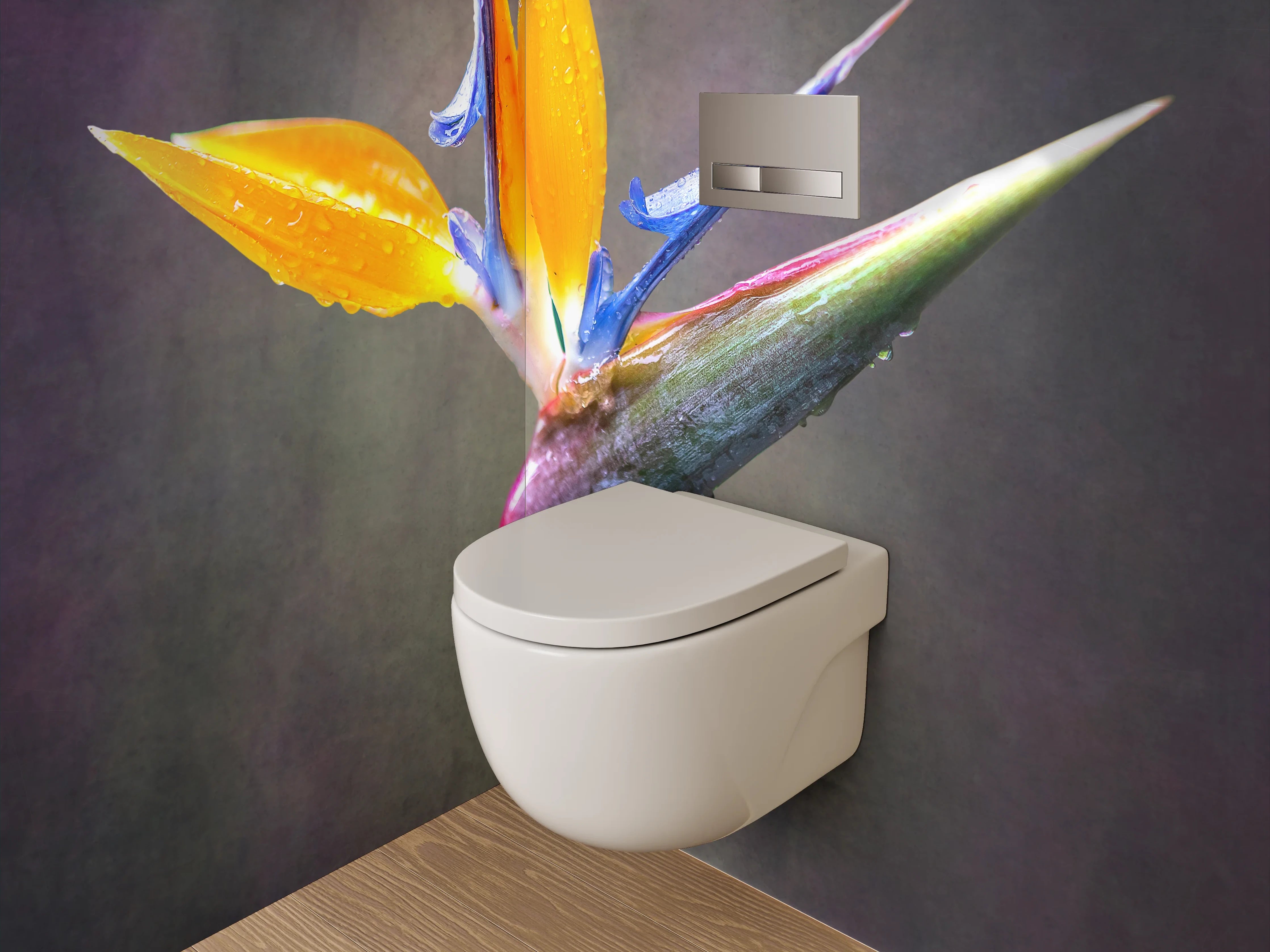 WC-Rückwand - Strelitzienblüte Tropisch Blume Foto