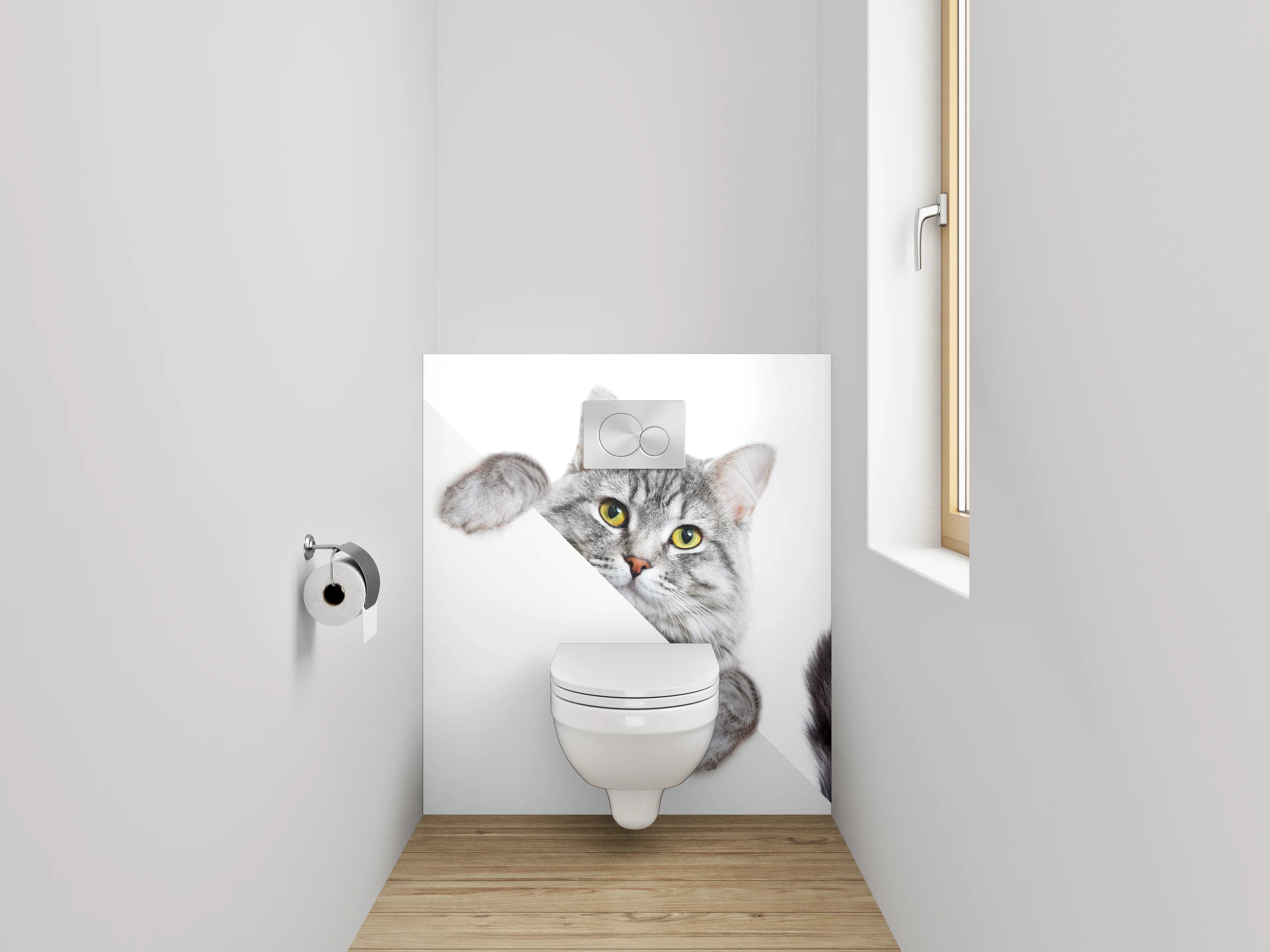 WC-Rückwand - Süße graue Katze auf Weiß