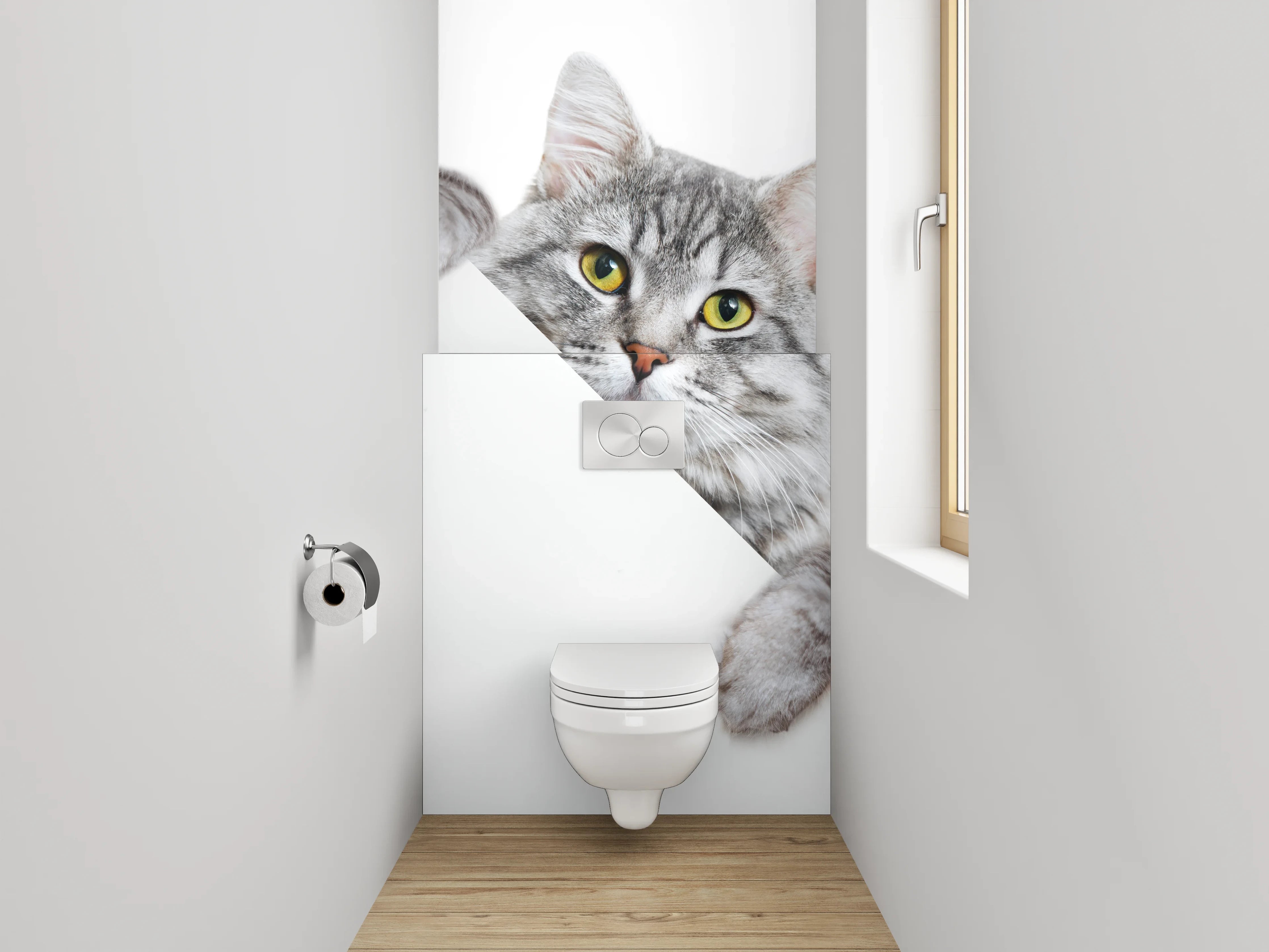 WC-Rückwand - Süße graue Katze auf Weiß