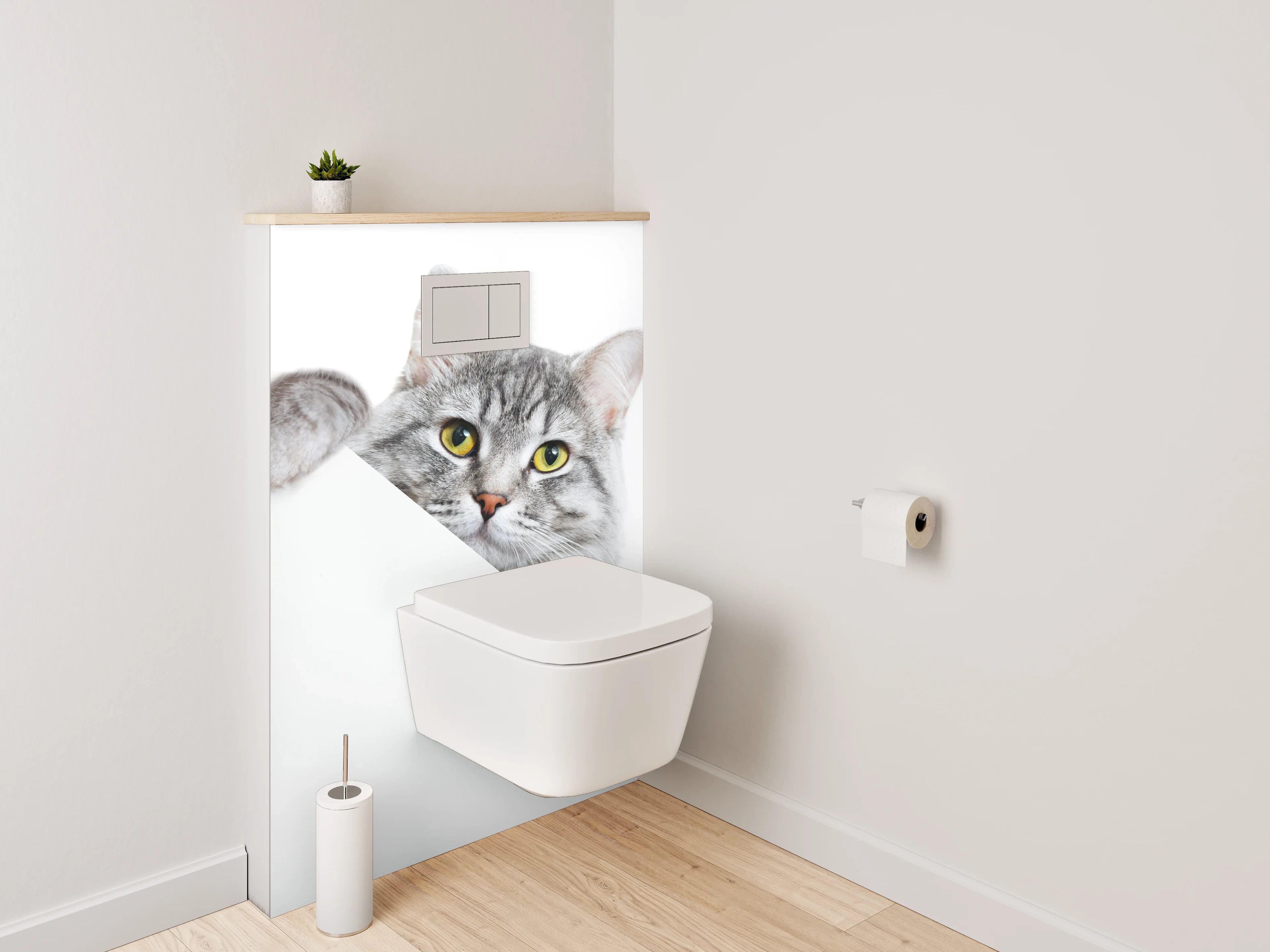 WC-Rückwand - Süße graue Katze auf Weiß