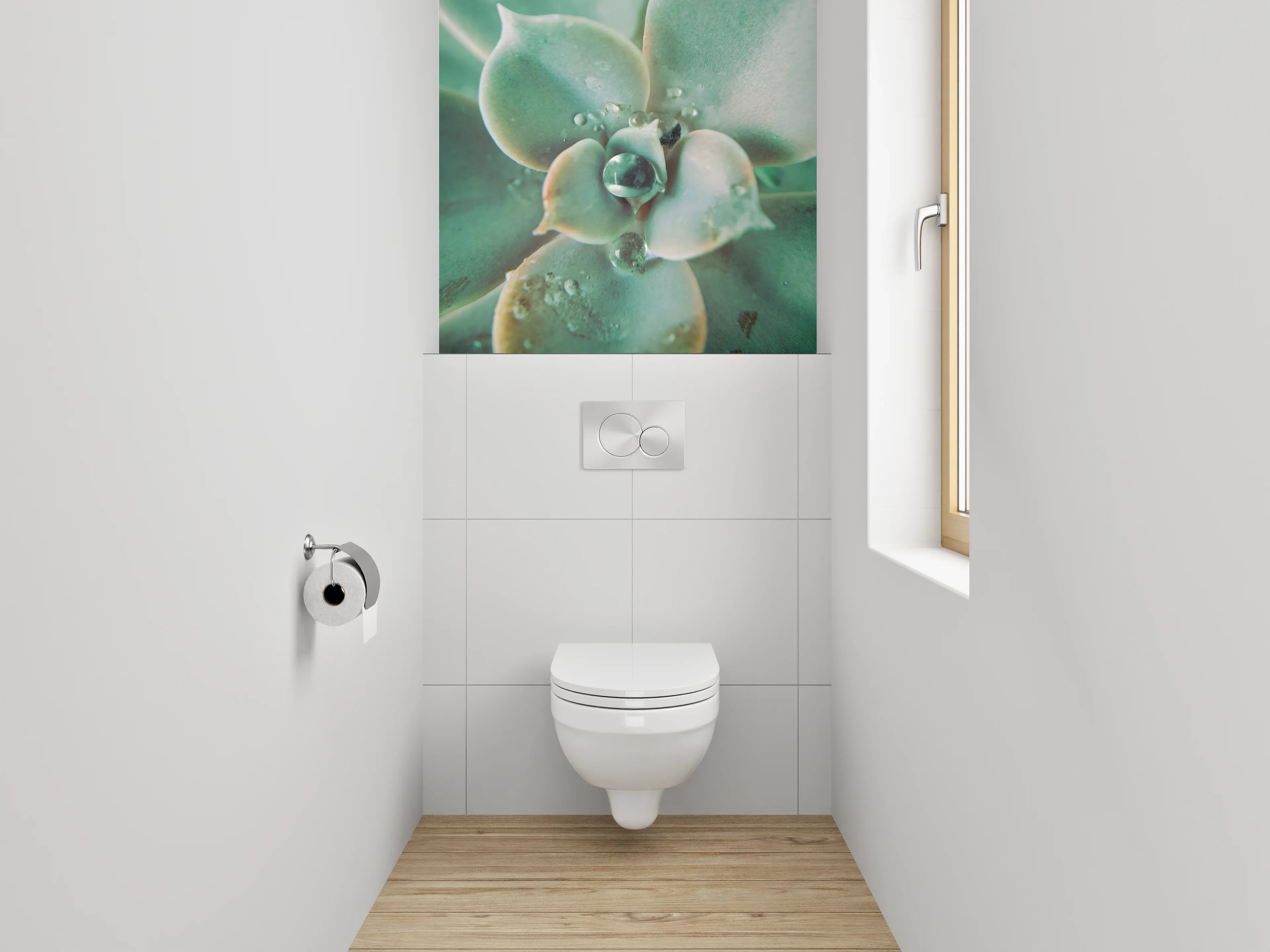 WC-Rückwand - Sukkulente Makro Tropfen Frisch