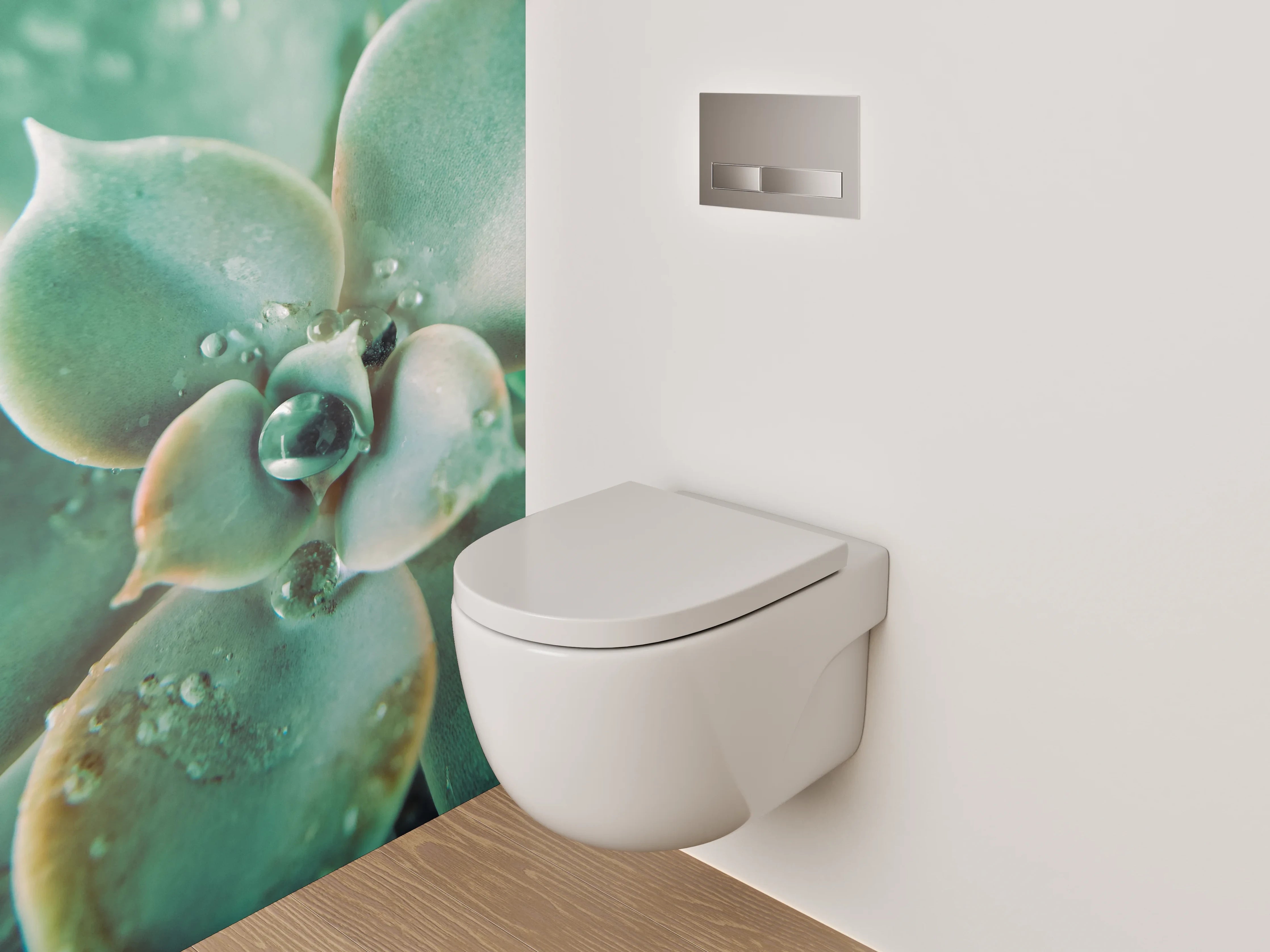 WC-Rückwand - Sukkulente Makro Tropfen Frisch