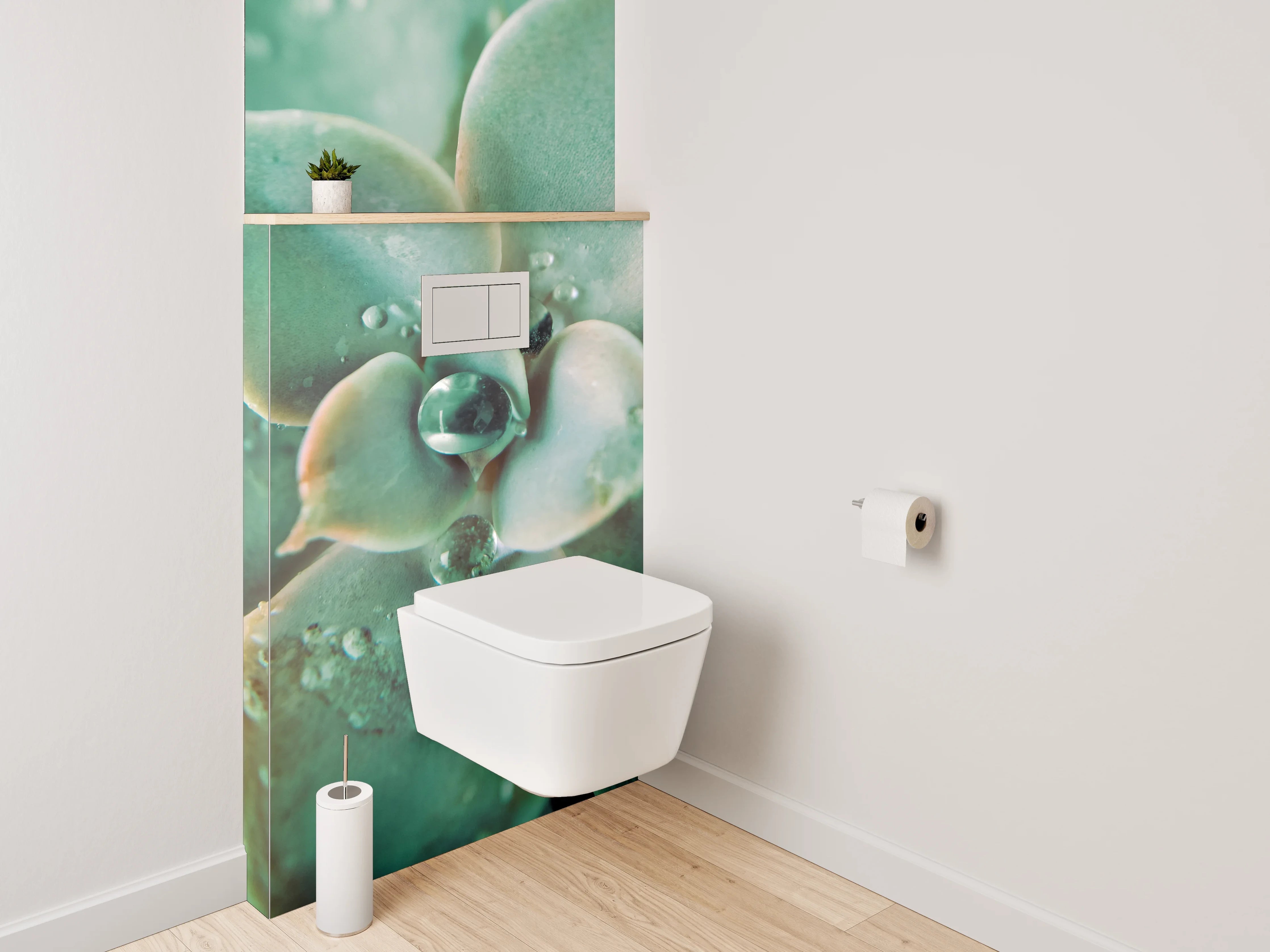 WC-Rückwand - Sukkulente Makro Tropfen Frisch
