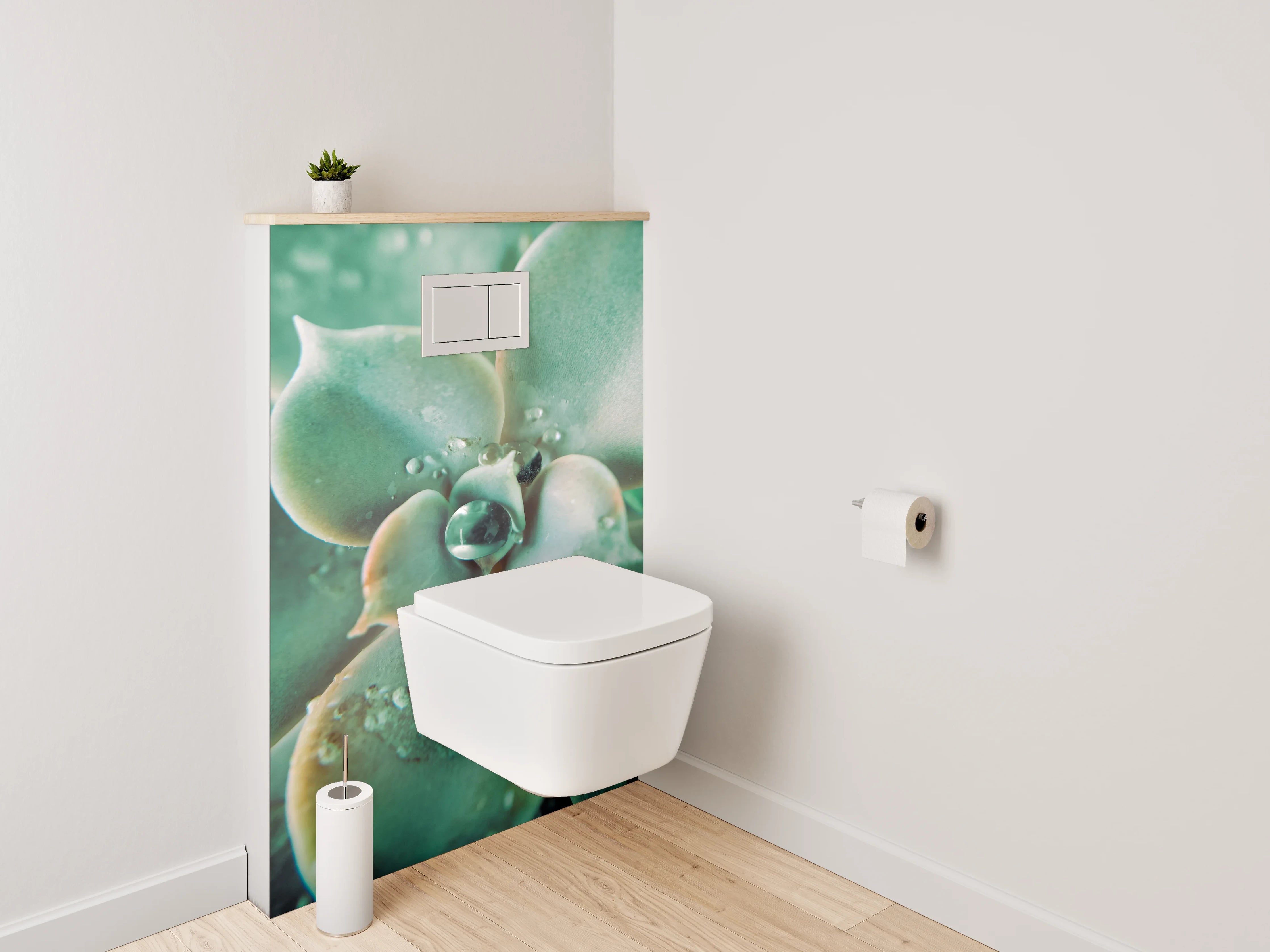 WC-Rückwand - Sukkulente Makro Tropfen Frisch