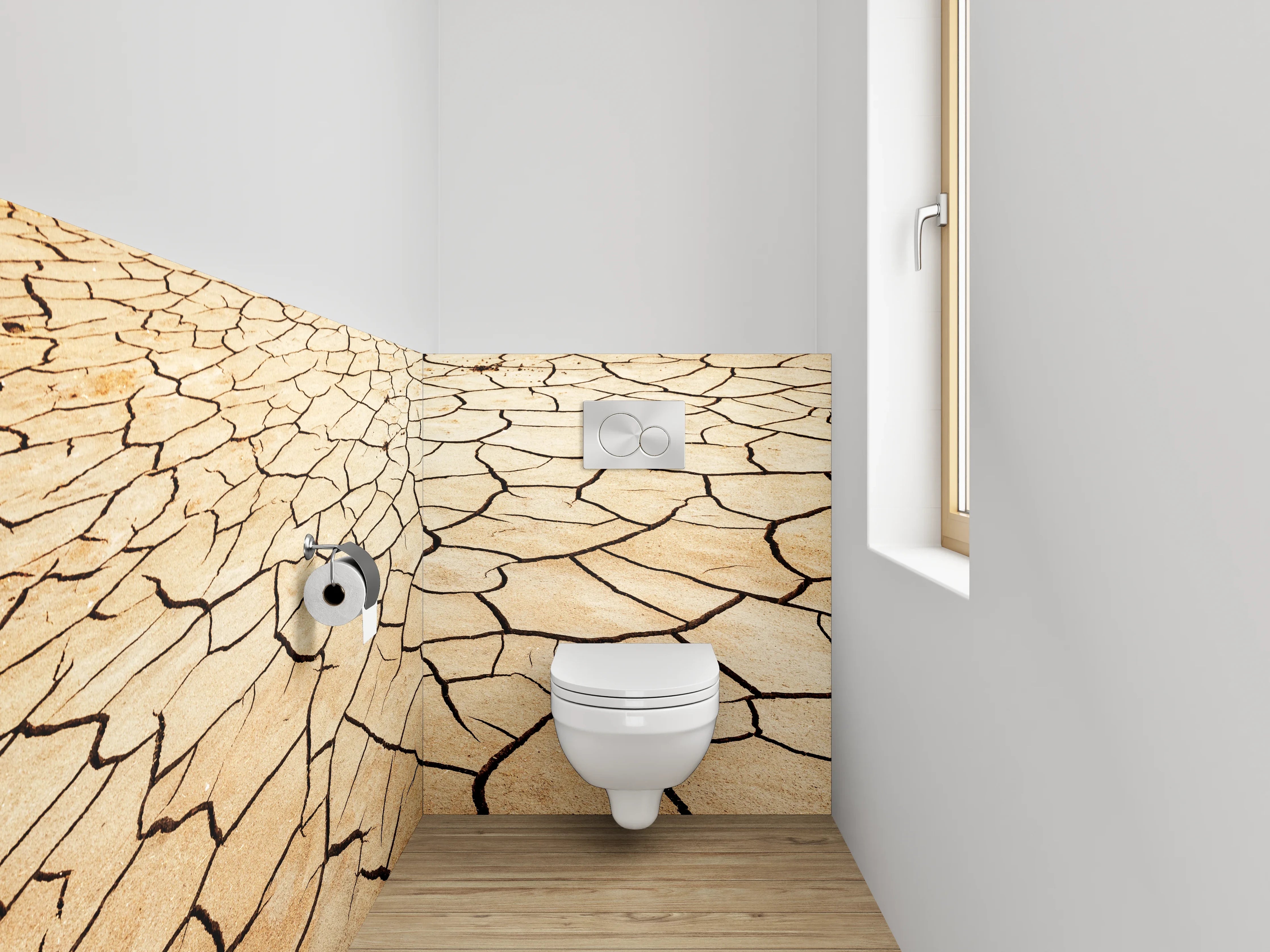 WC-Rückwand - Trockene Erde Wüsten-Optik