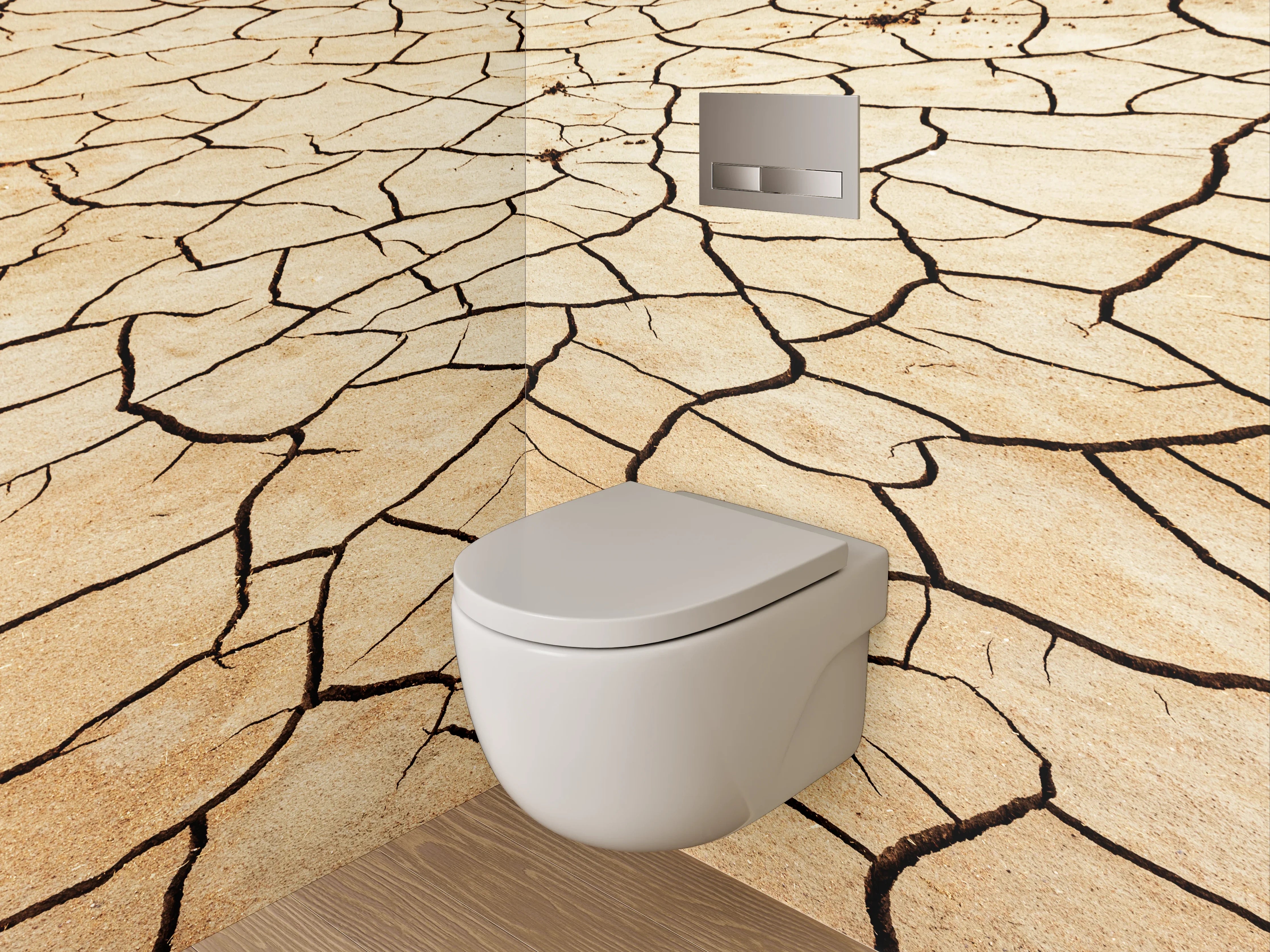WC-Rückwand - Trockene Erde Wüsten-Optik