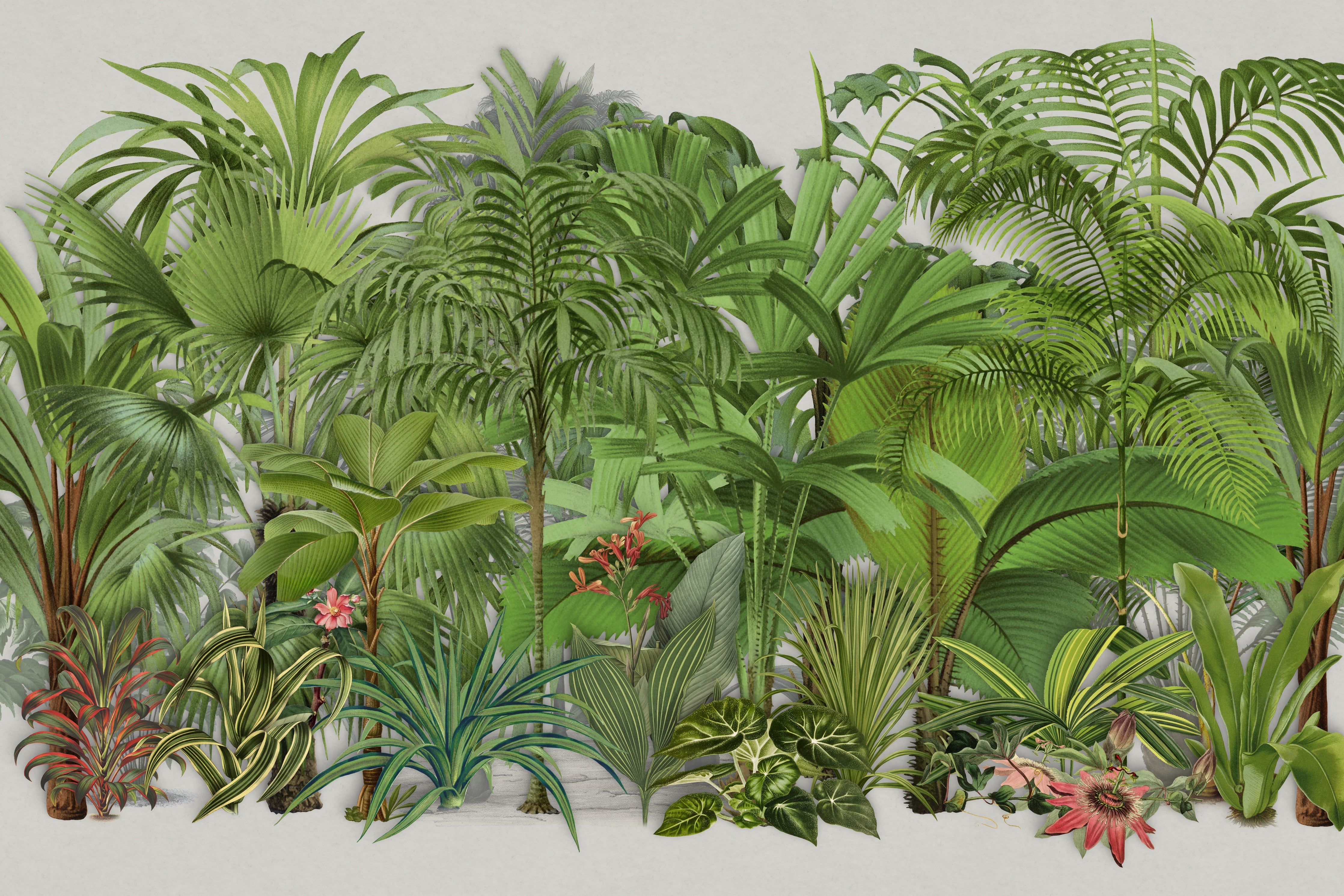 WC-Rückwand-Tropische Pflanzen Illustration Grün Dschungel