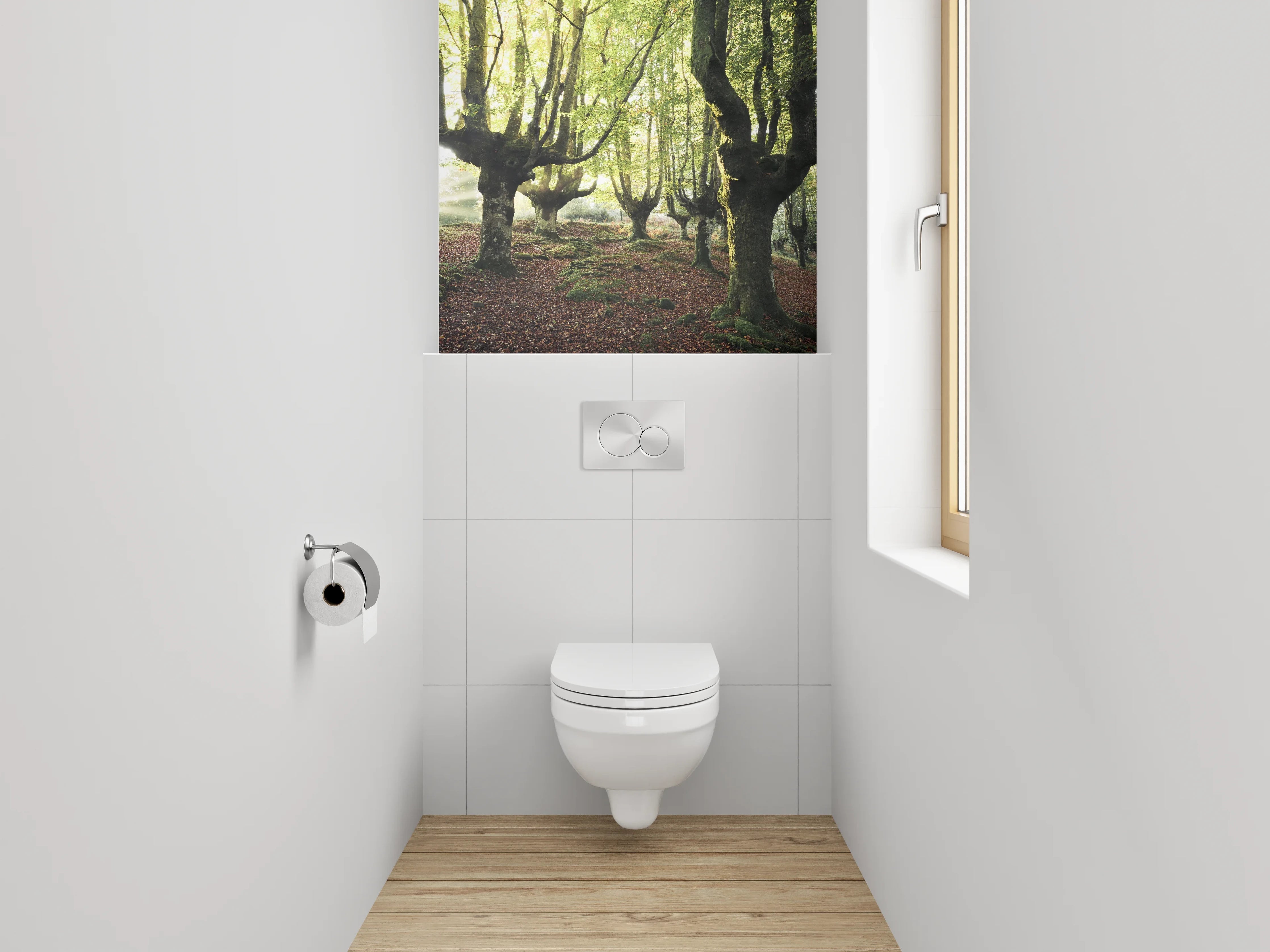 WC-Rückwand - Verzauberter Buchenwald im Morgenlicht